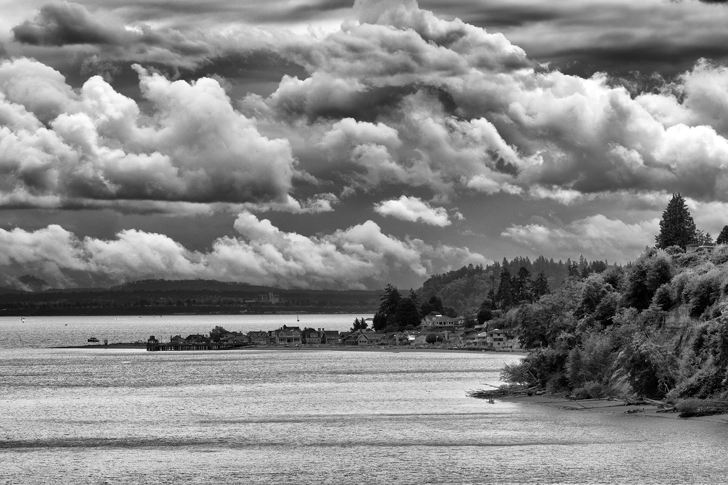 Whidbey Island, July Morning, American Landscapes, 2017