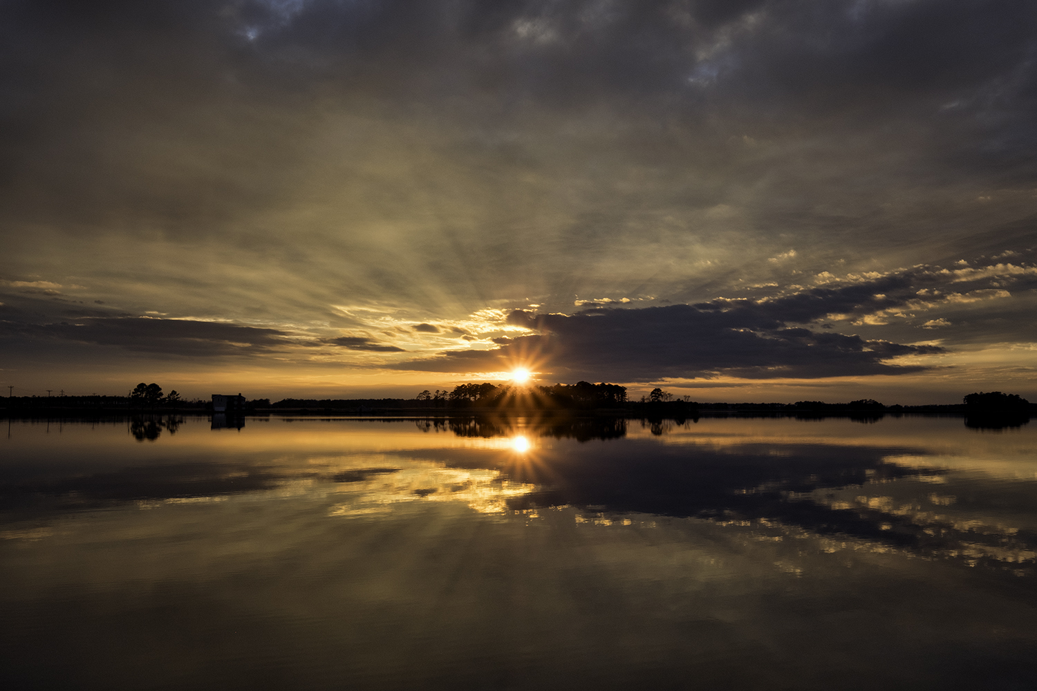 Blackwater NWR, November Sunset