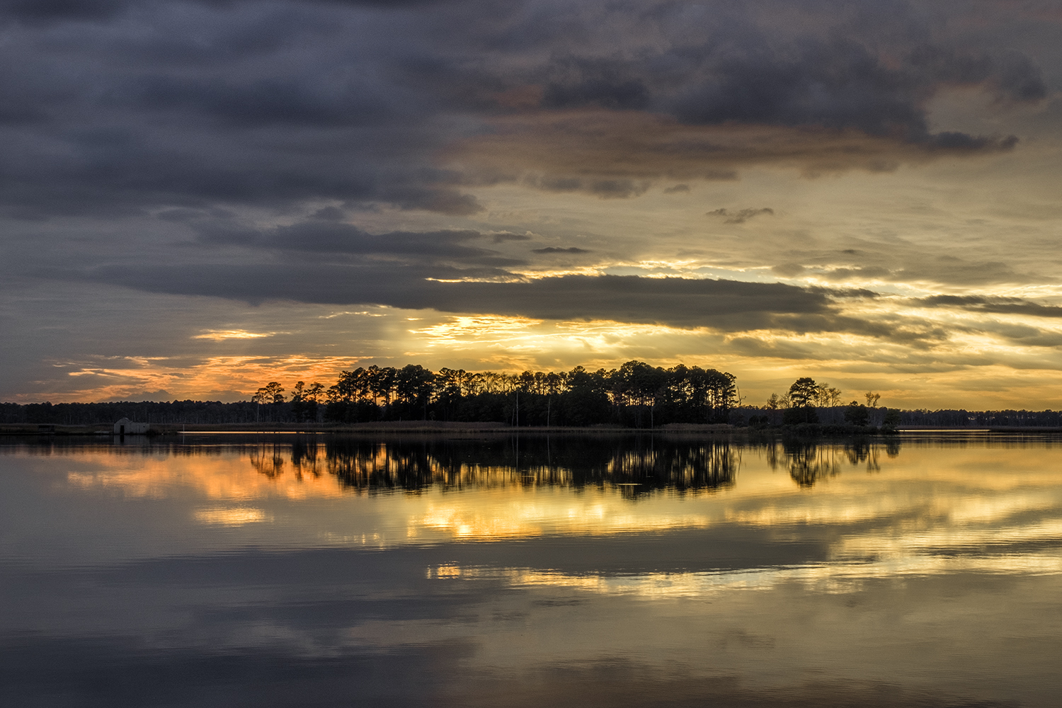 Blackwater NWR, November Sunset