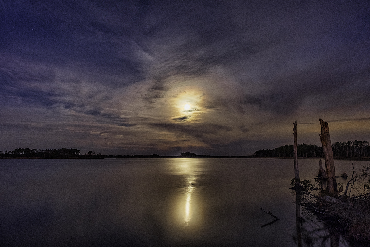 Moon Setting over Blackwater NWR