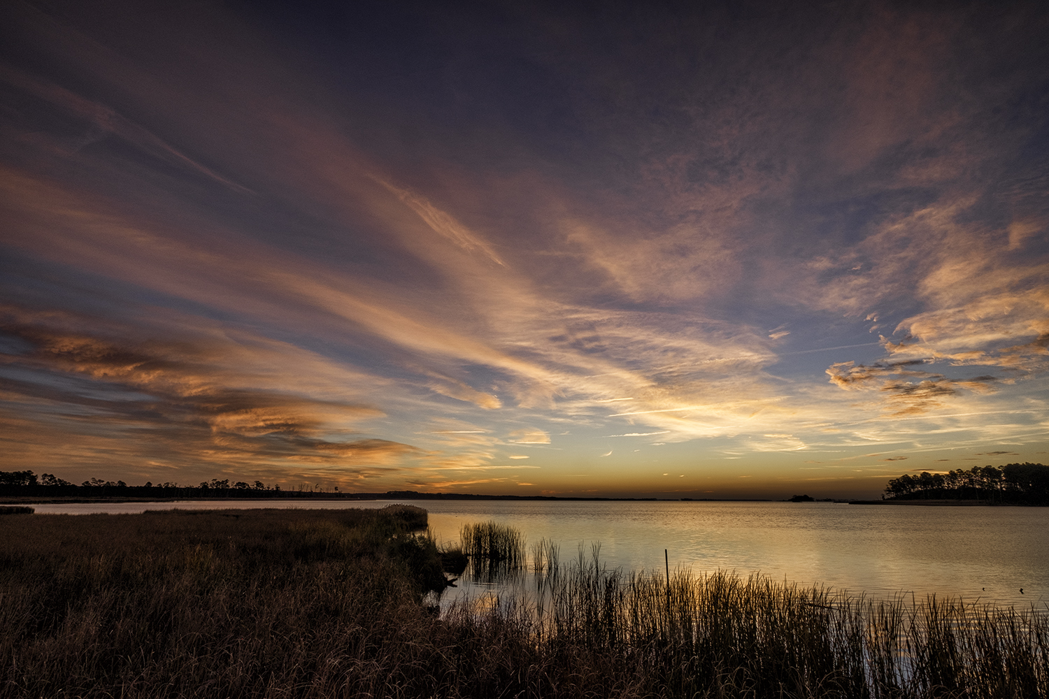 Blackwater NWR, November Sunrise