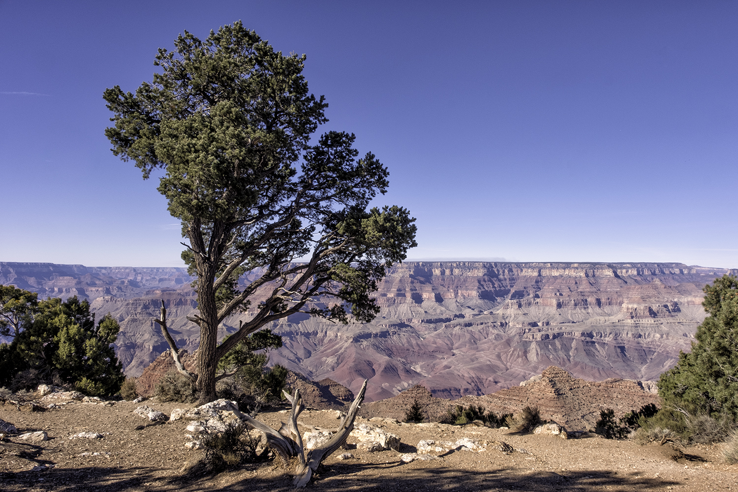 171128 Grand Canyon 44-1.jpg