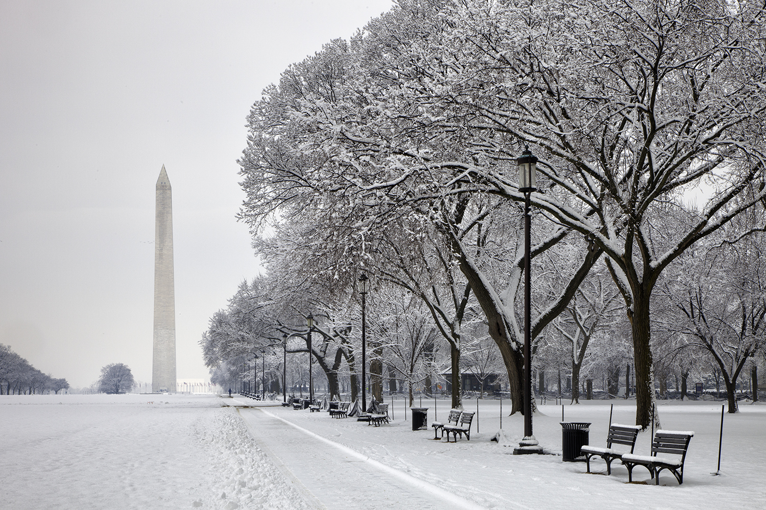 February Morning on the Mall