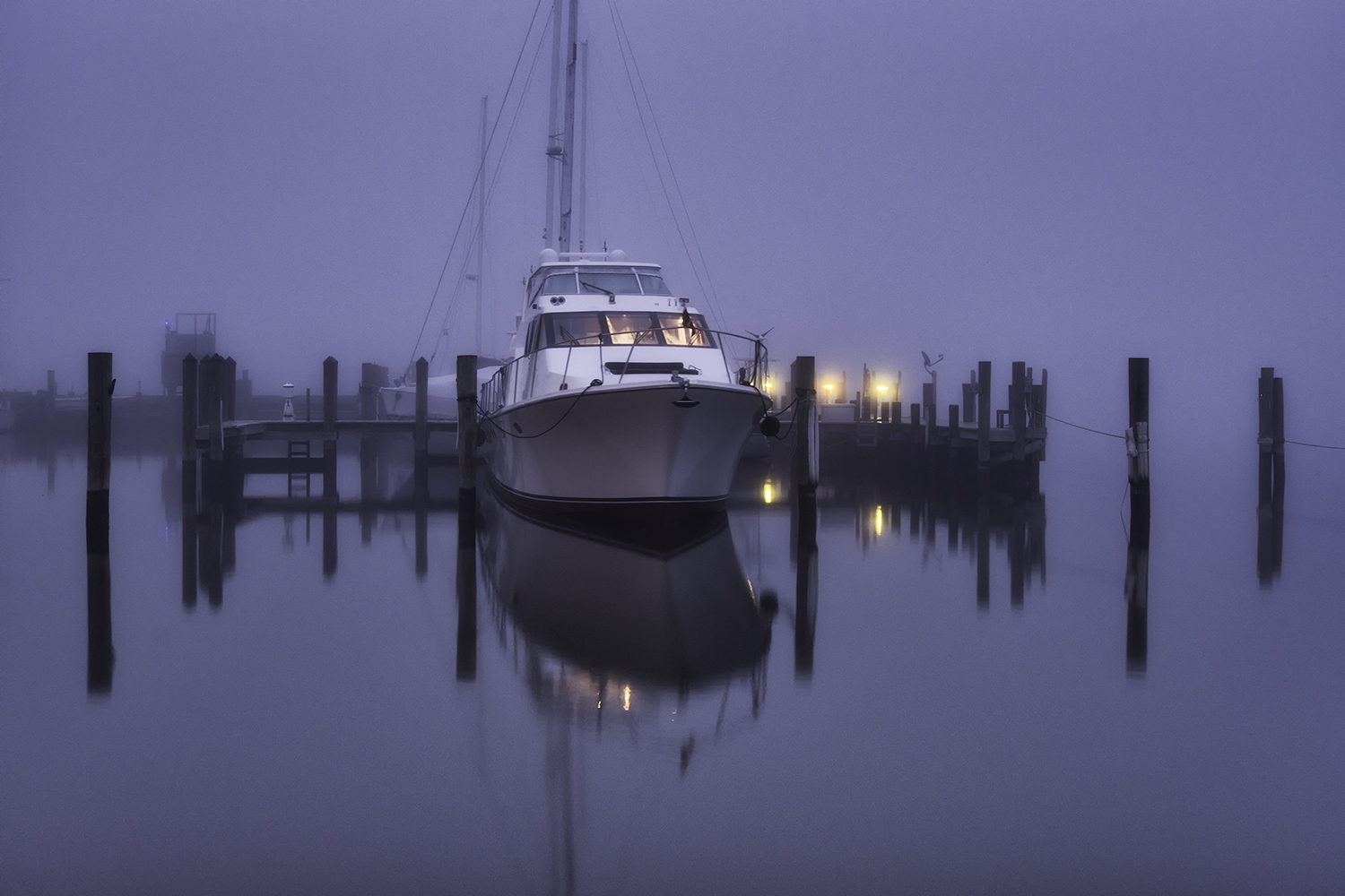 Annapolis, February Morning