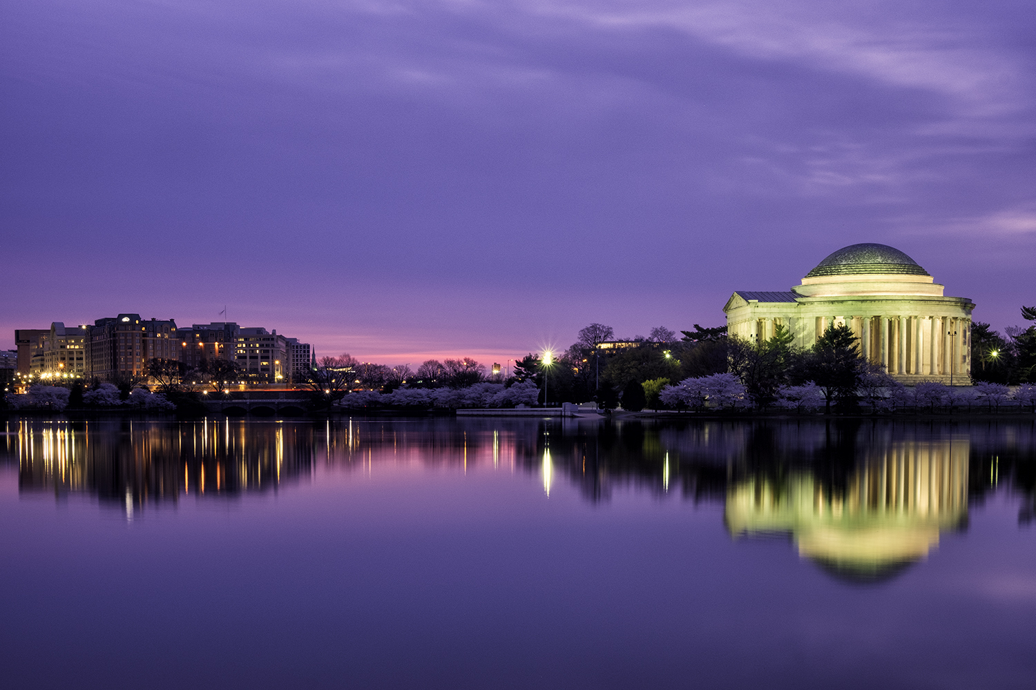 Tidal Basin, April Morning