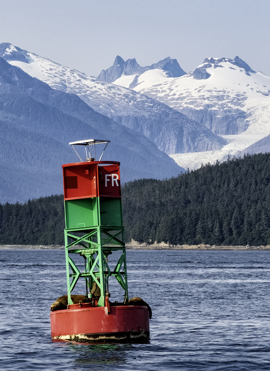 Seals and Mountains, Juneau Alaska