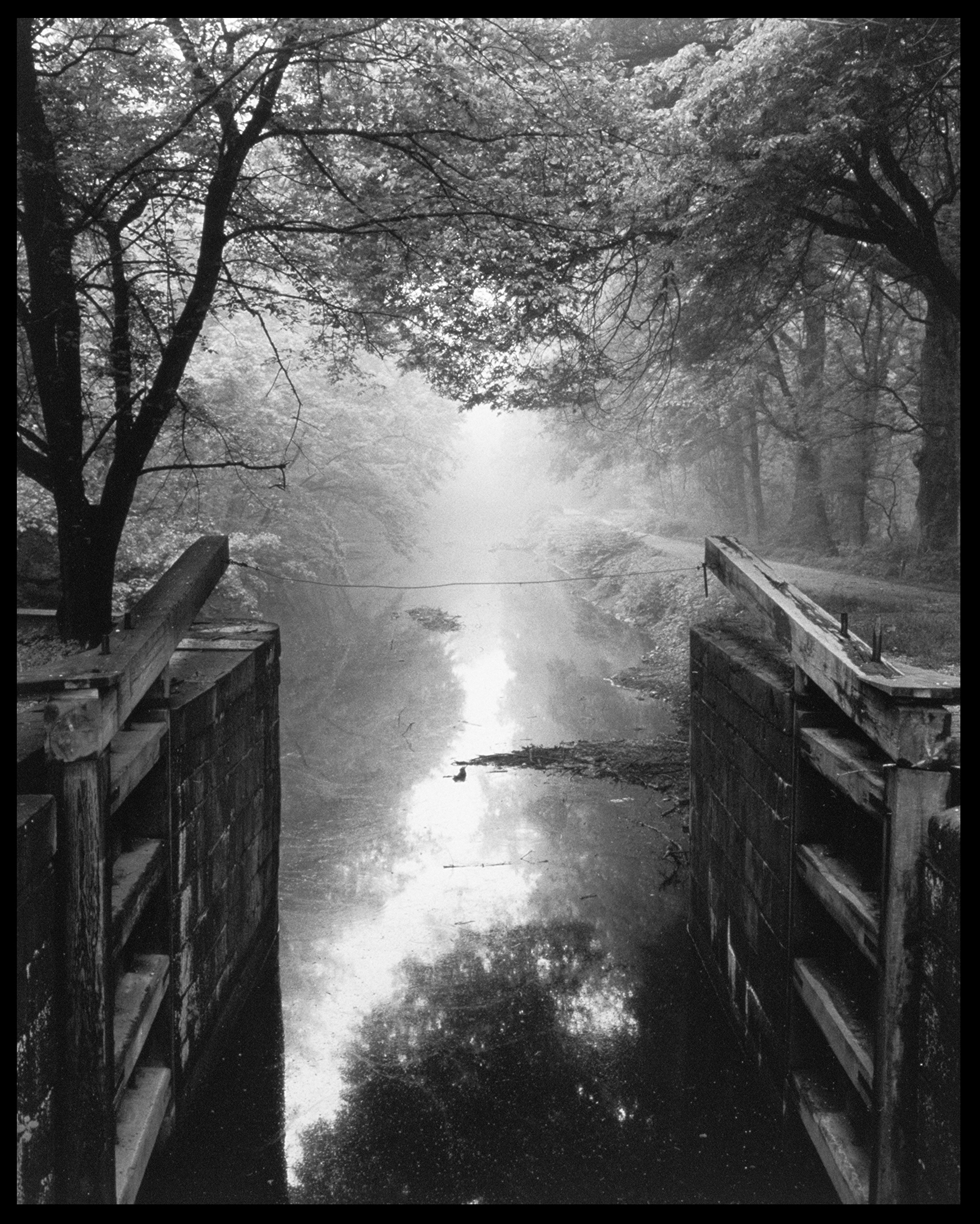 Lock 7 in Fog