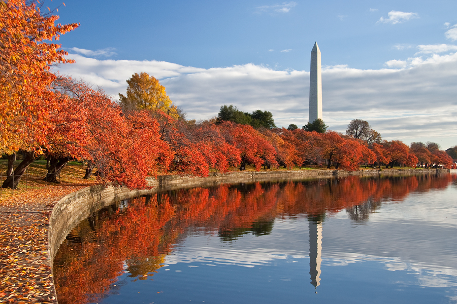 Tidal Basin, November Morning