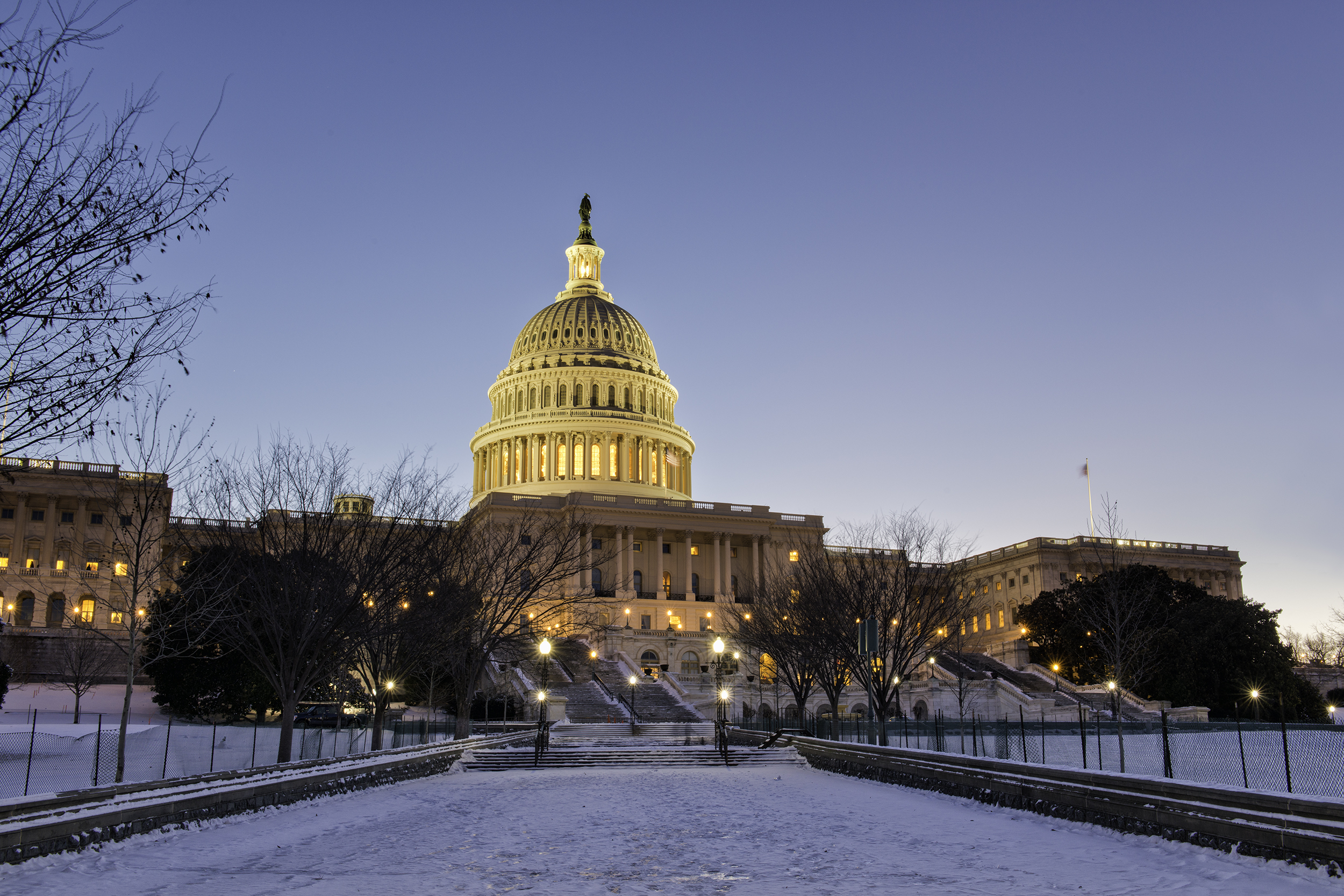 Capitol in Winter