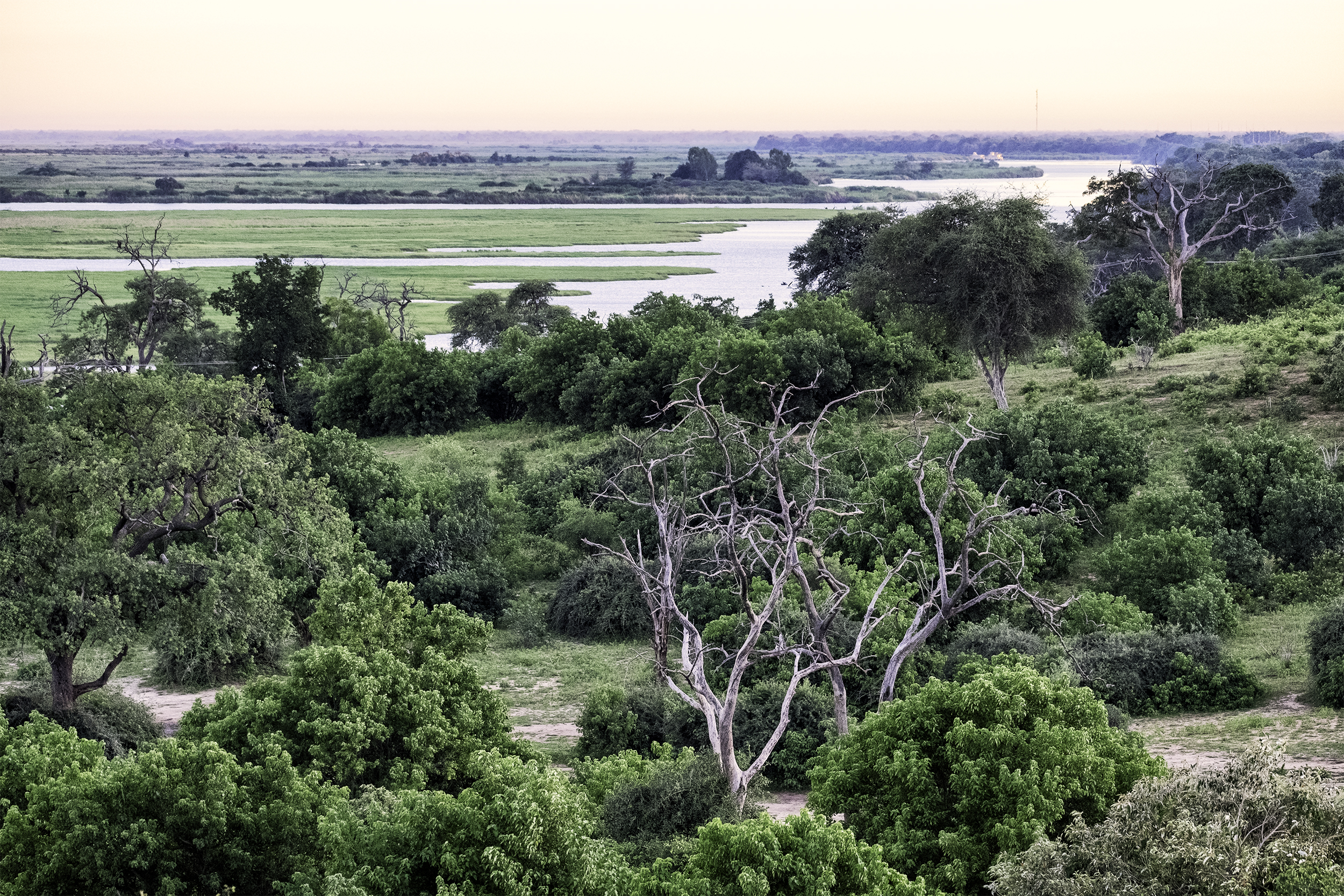 Chobe River, Botswana, February Morning