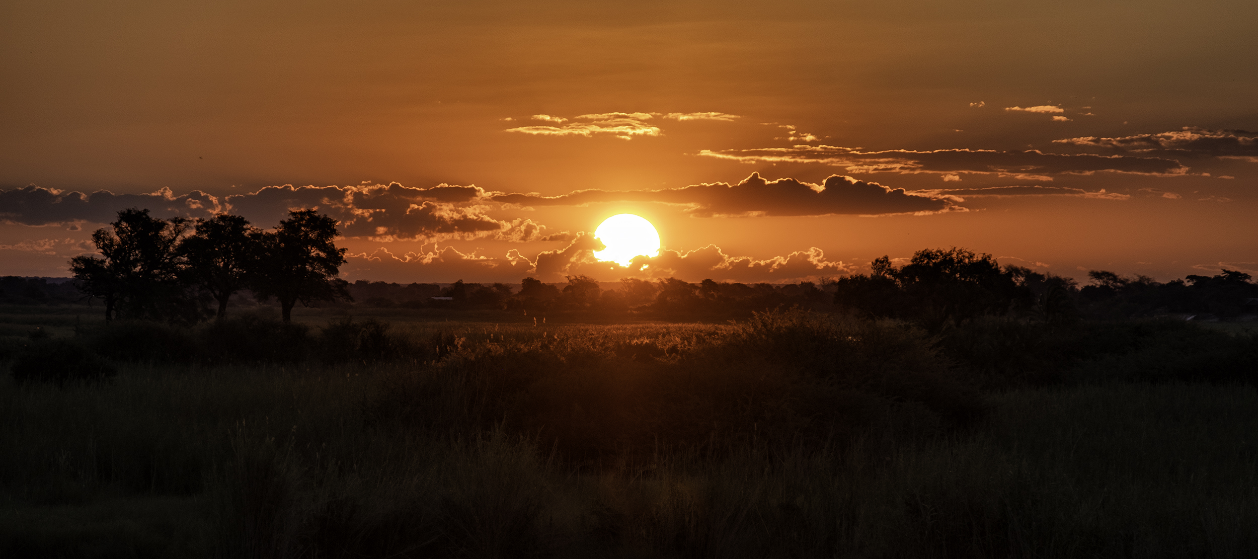 Chobe Park, February Sunset