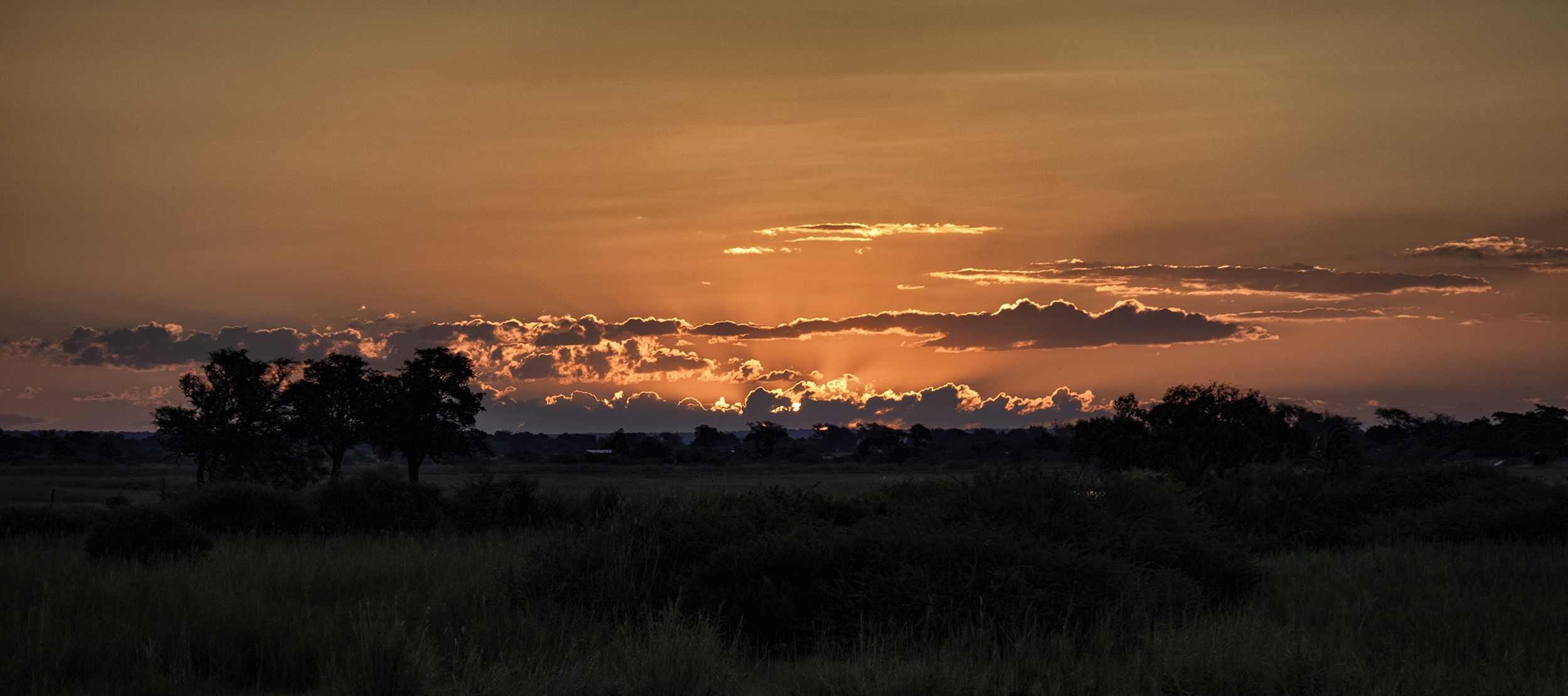 Chobe Park, Botswana, February Evening