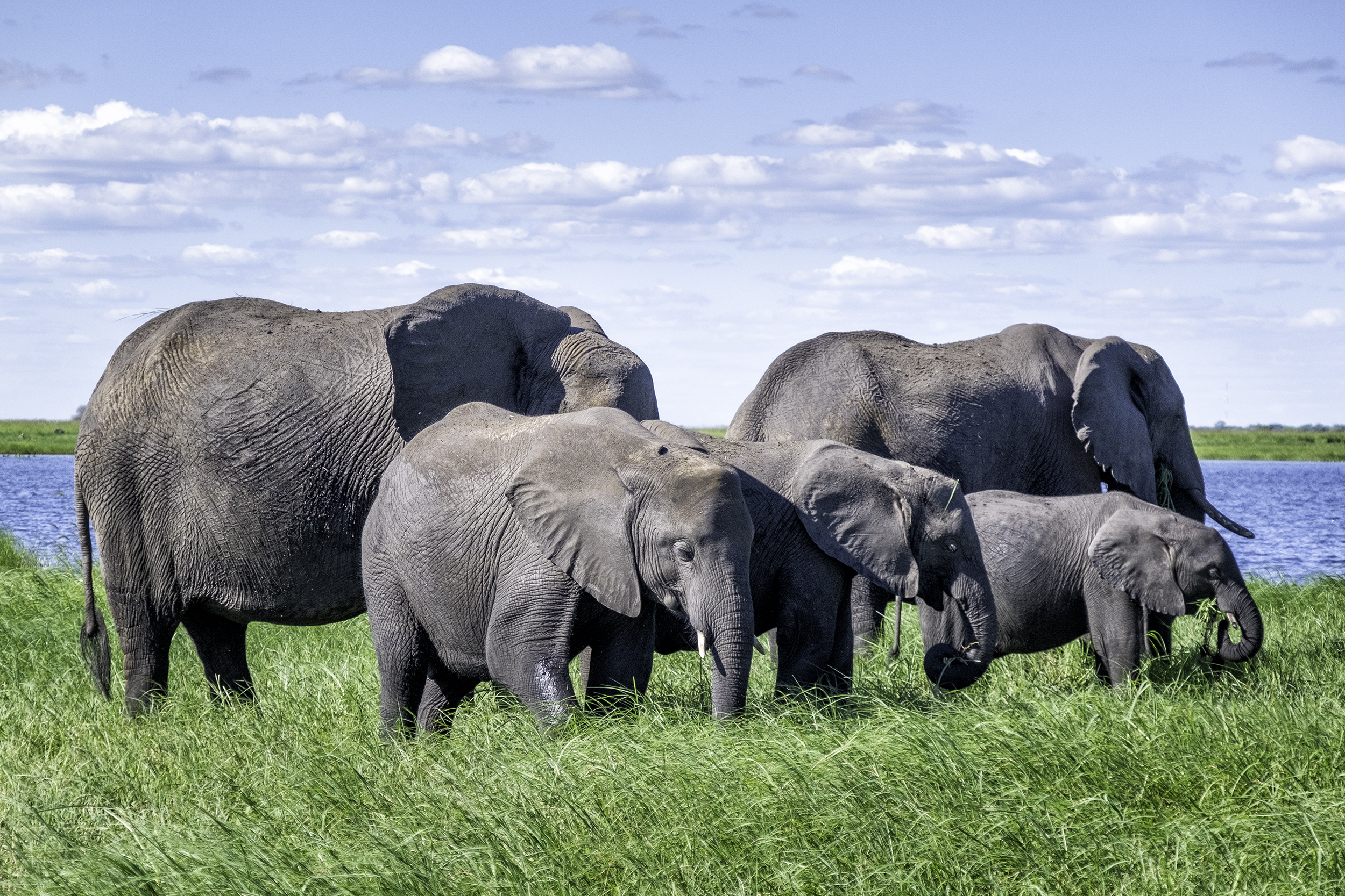 Chobe Park, Botswana