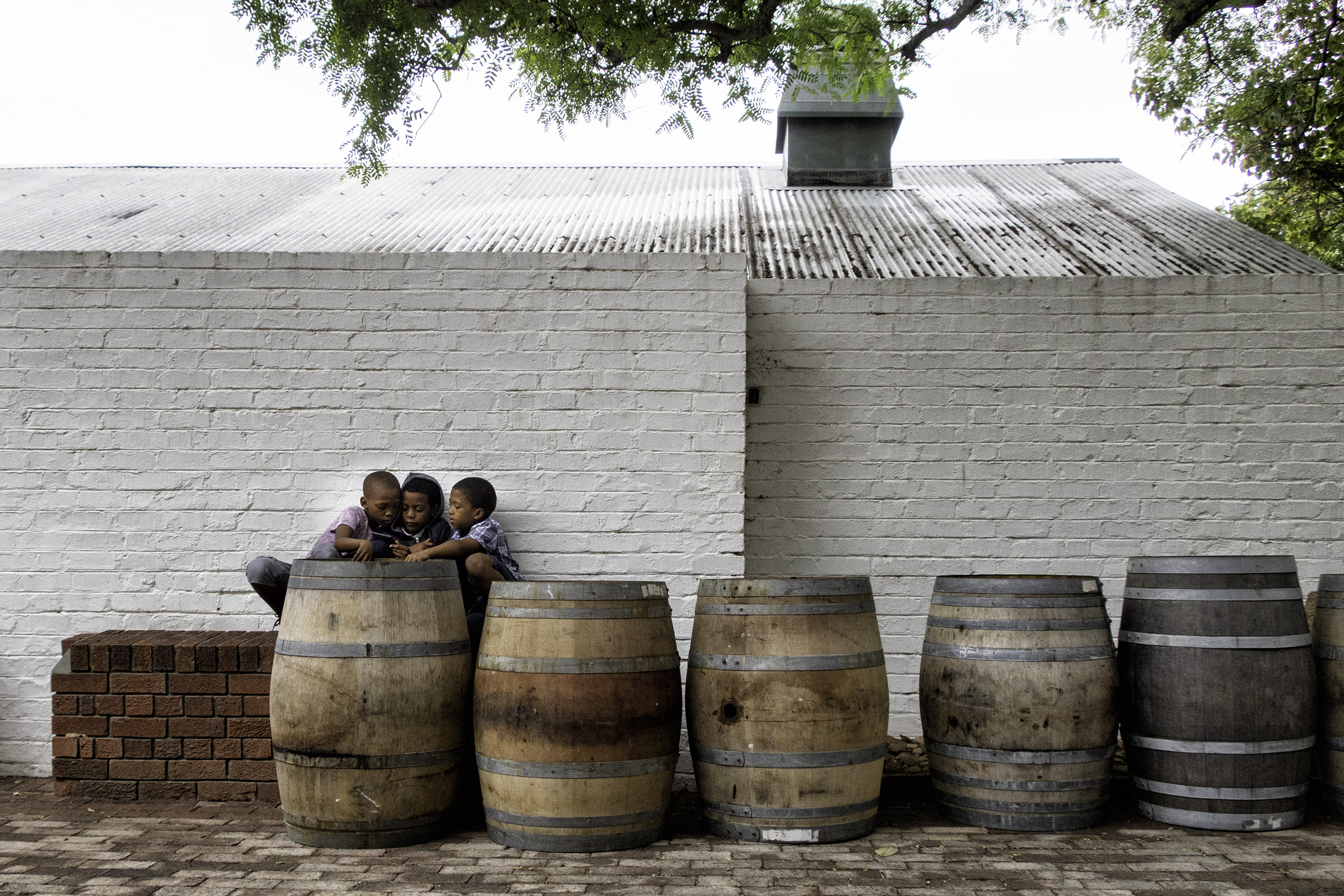 Groot Constantia Winery, Cape Town, SA