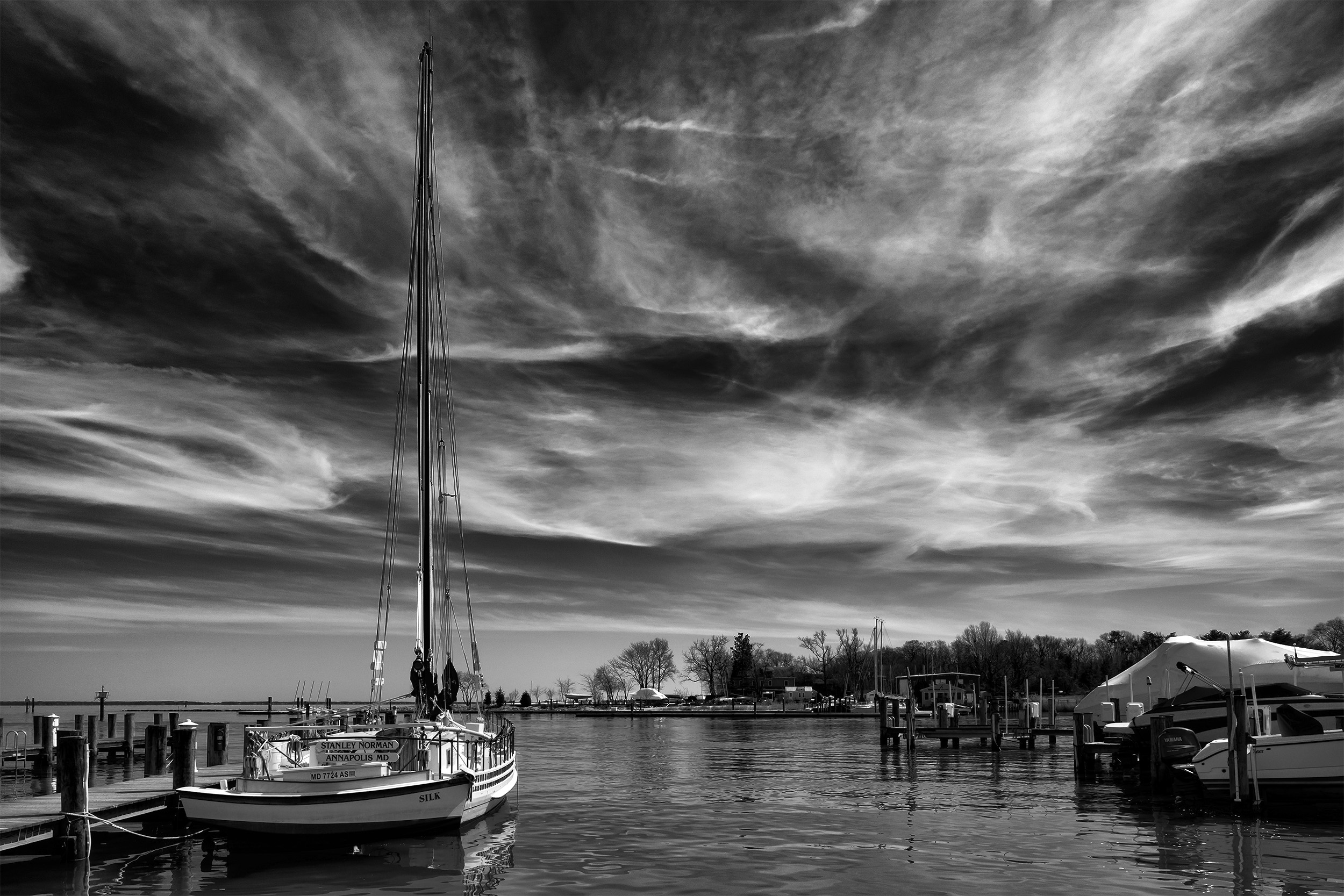 Annapolis Maritime Museum, March Afternoon