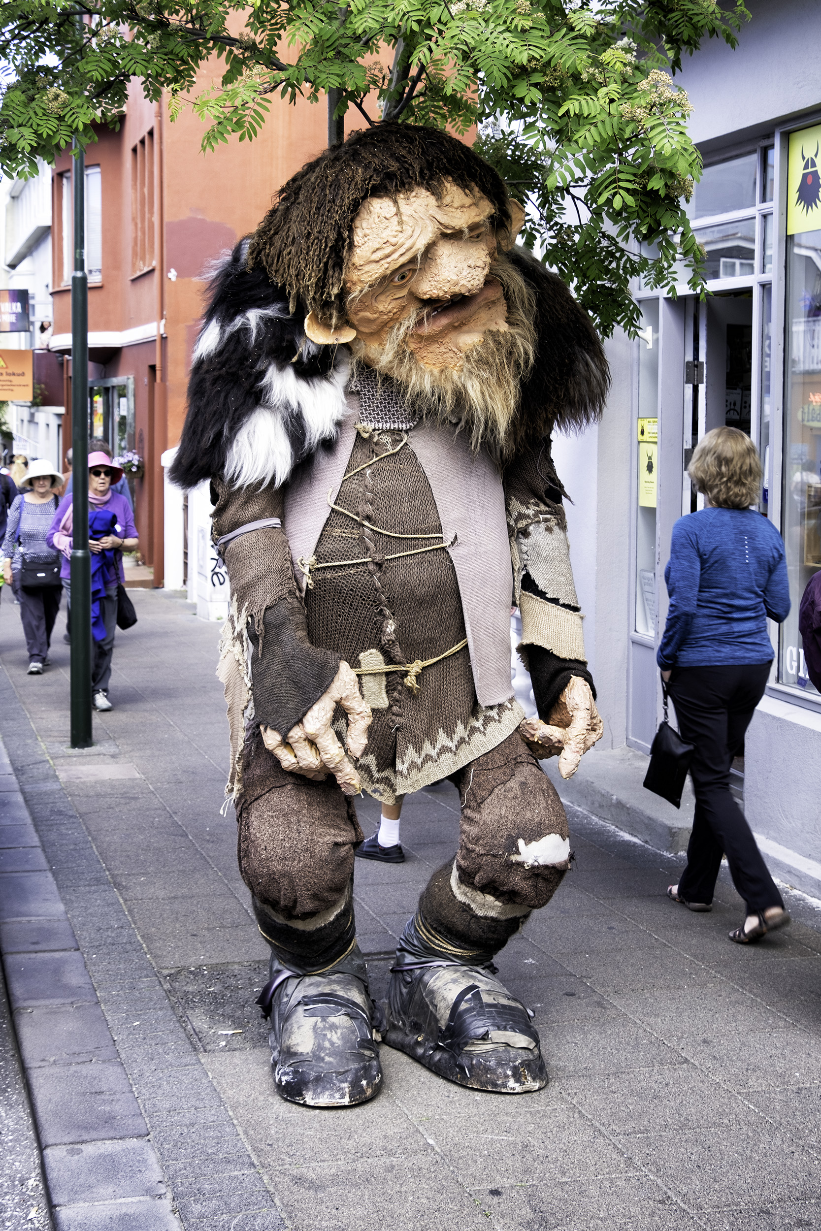 Reykjavik Street Scene