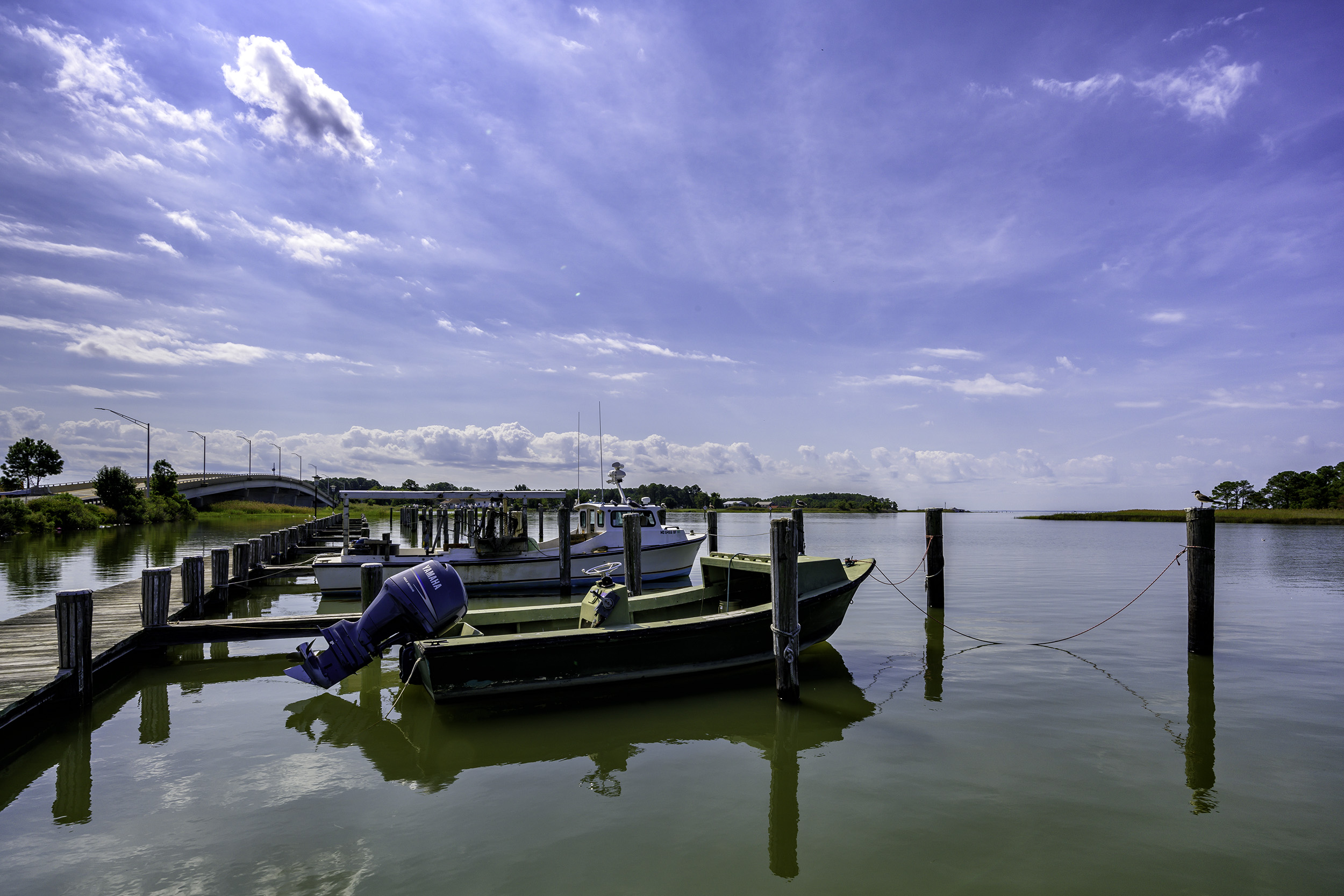 Hooper's Island, September Morning