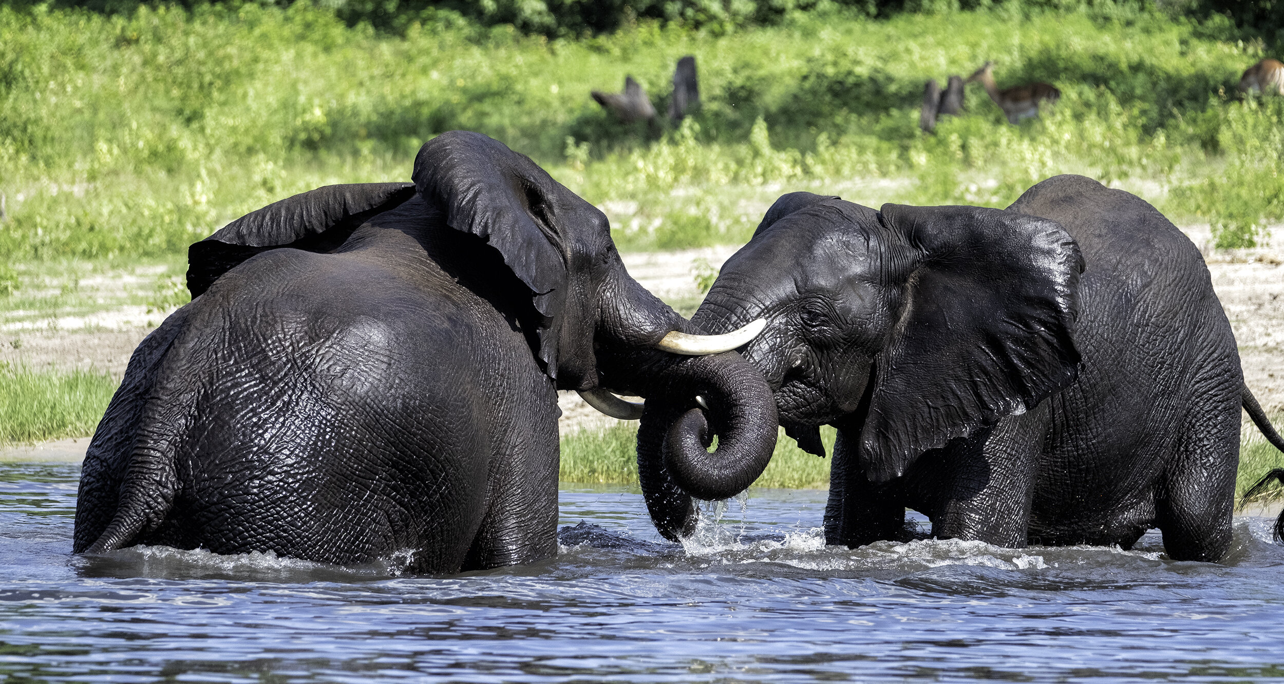 February in Botswana