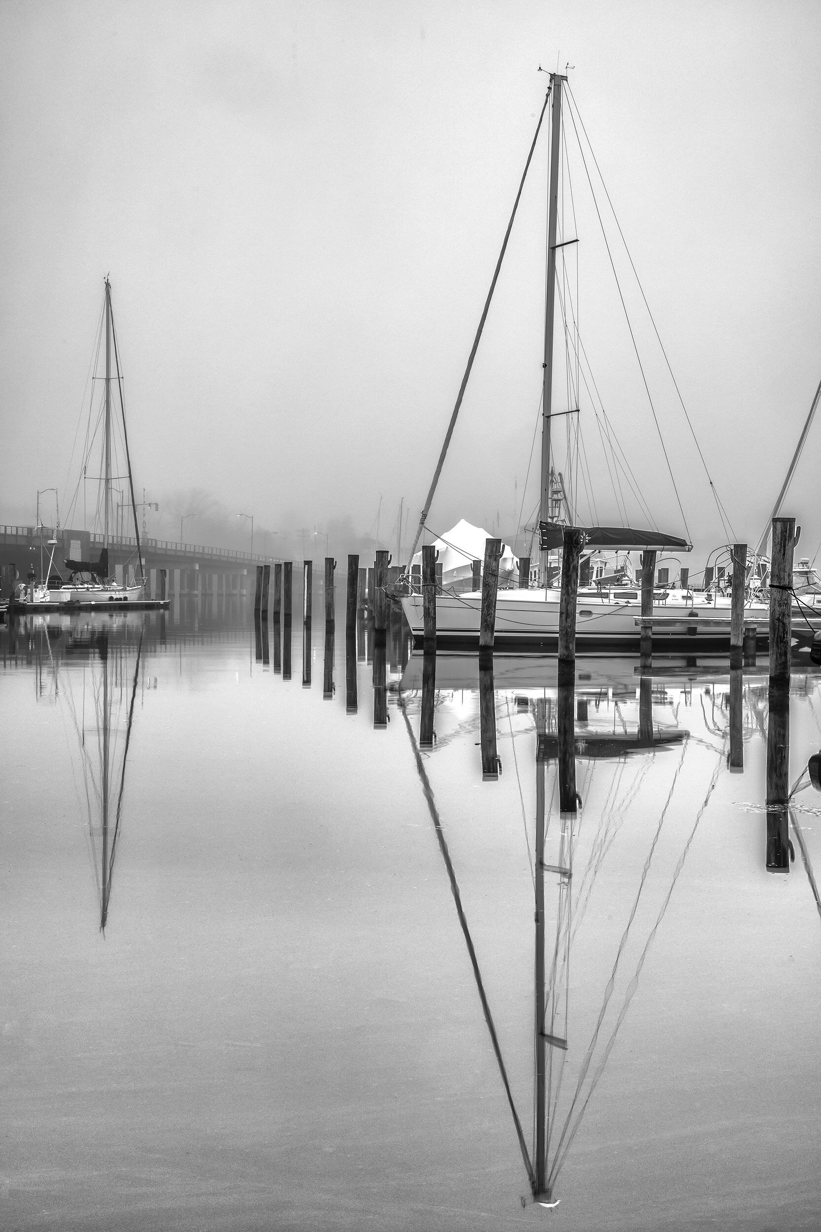 200115  Annapolis Fog  40-1 bw.jpg