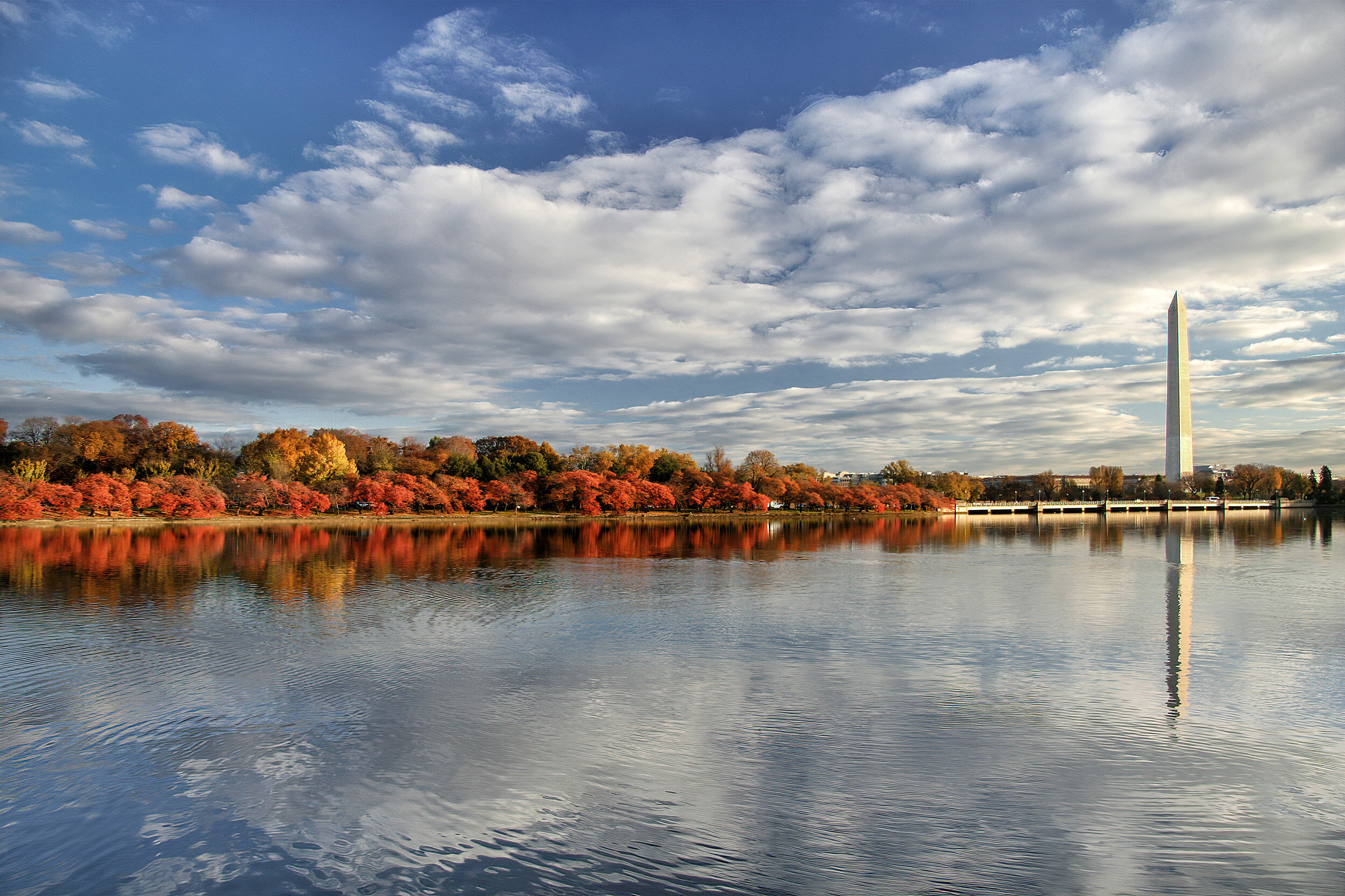 Tidal Basin, November Morning