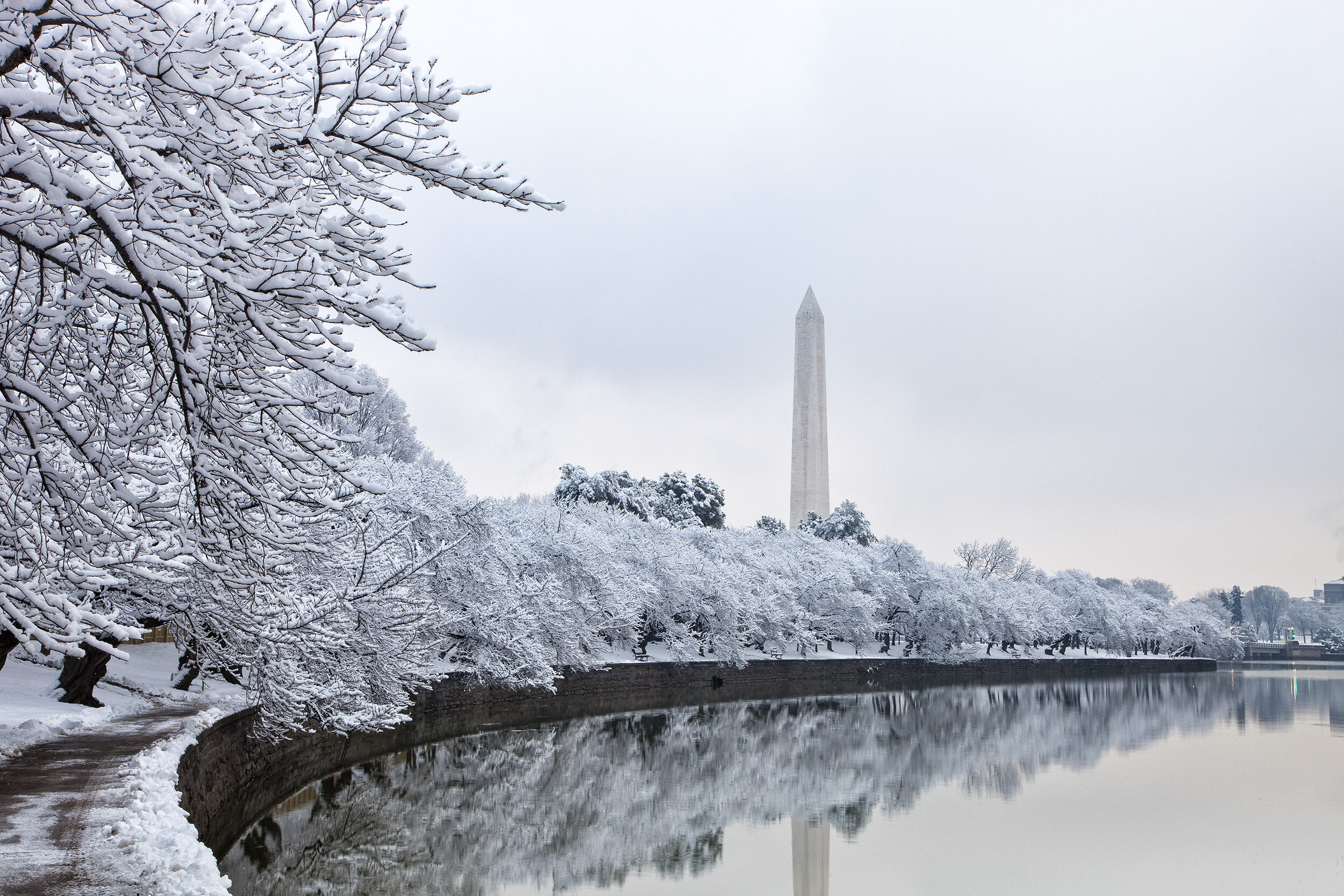 February Morning at the Tidal Basin 