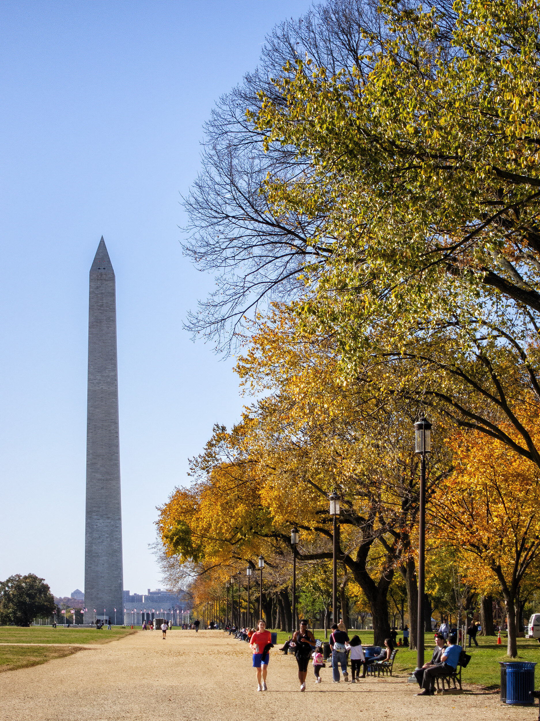 November Morning on the Mall 