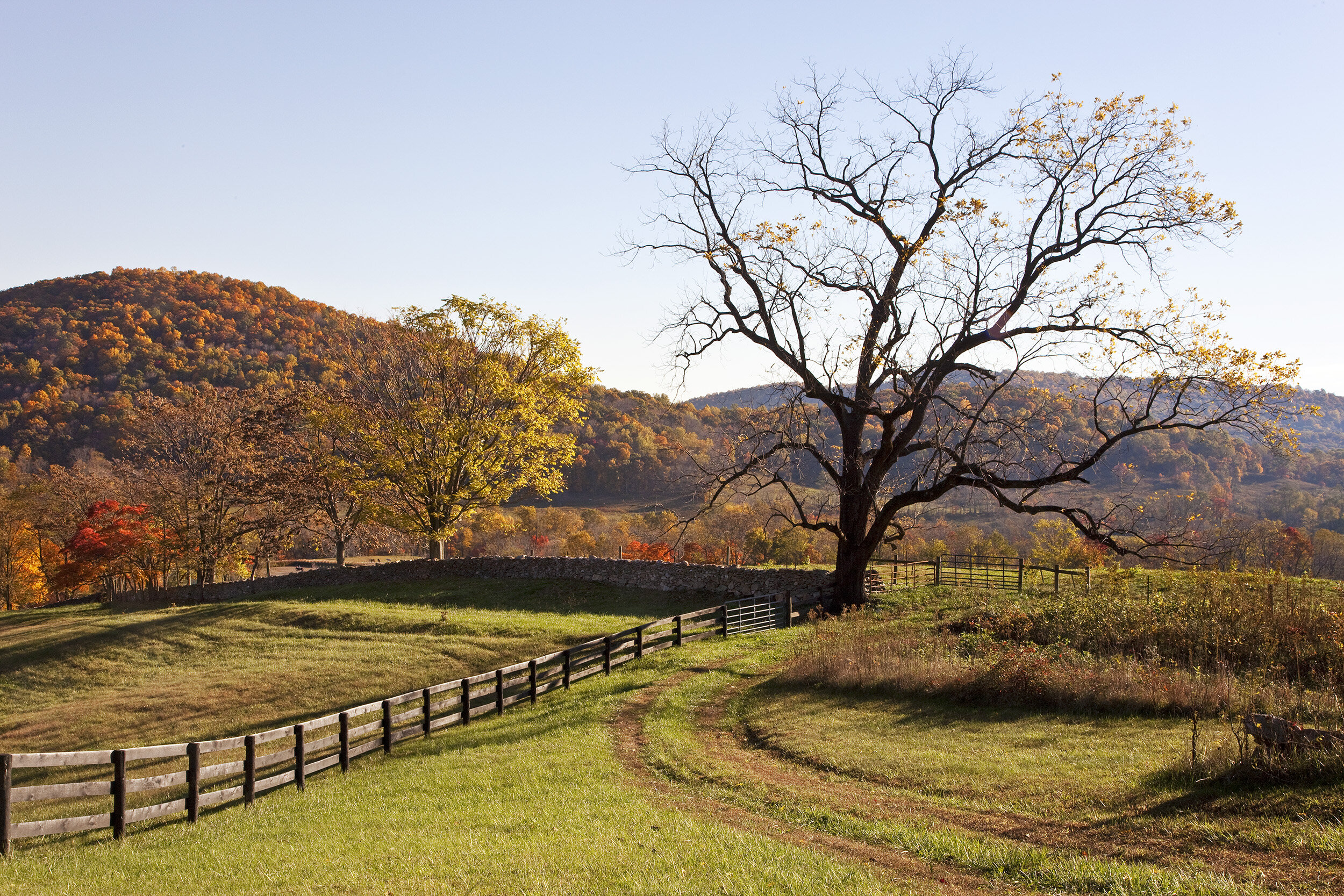 091025 Sperryville 022 PS3 (+4).jpg