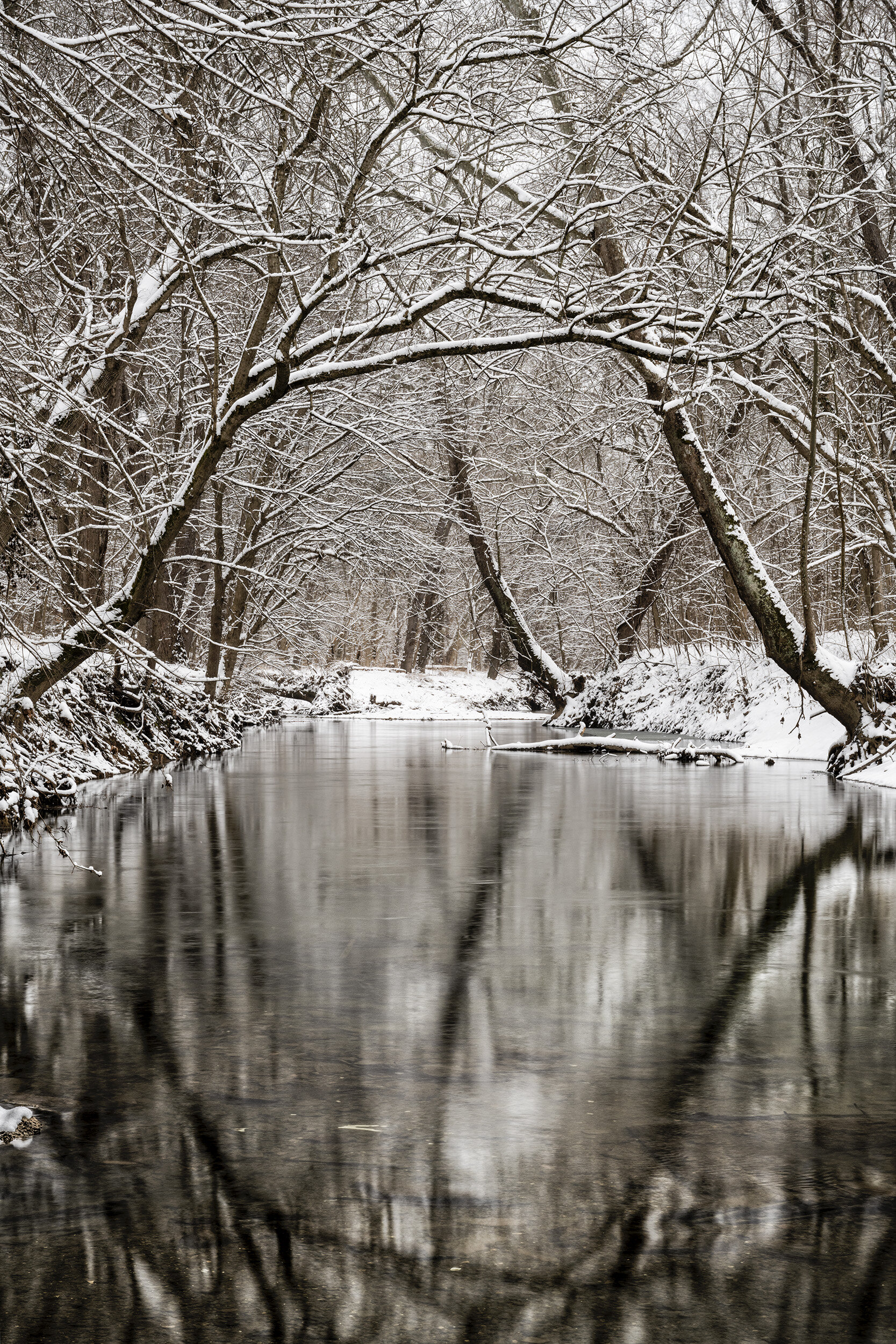 210202  Canal Snow  42-1.jpg