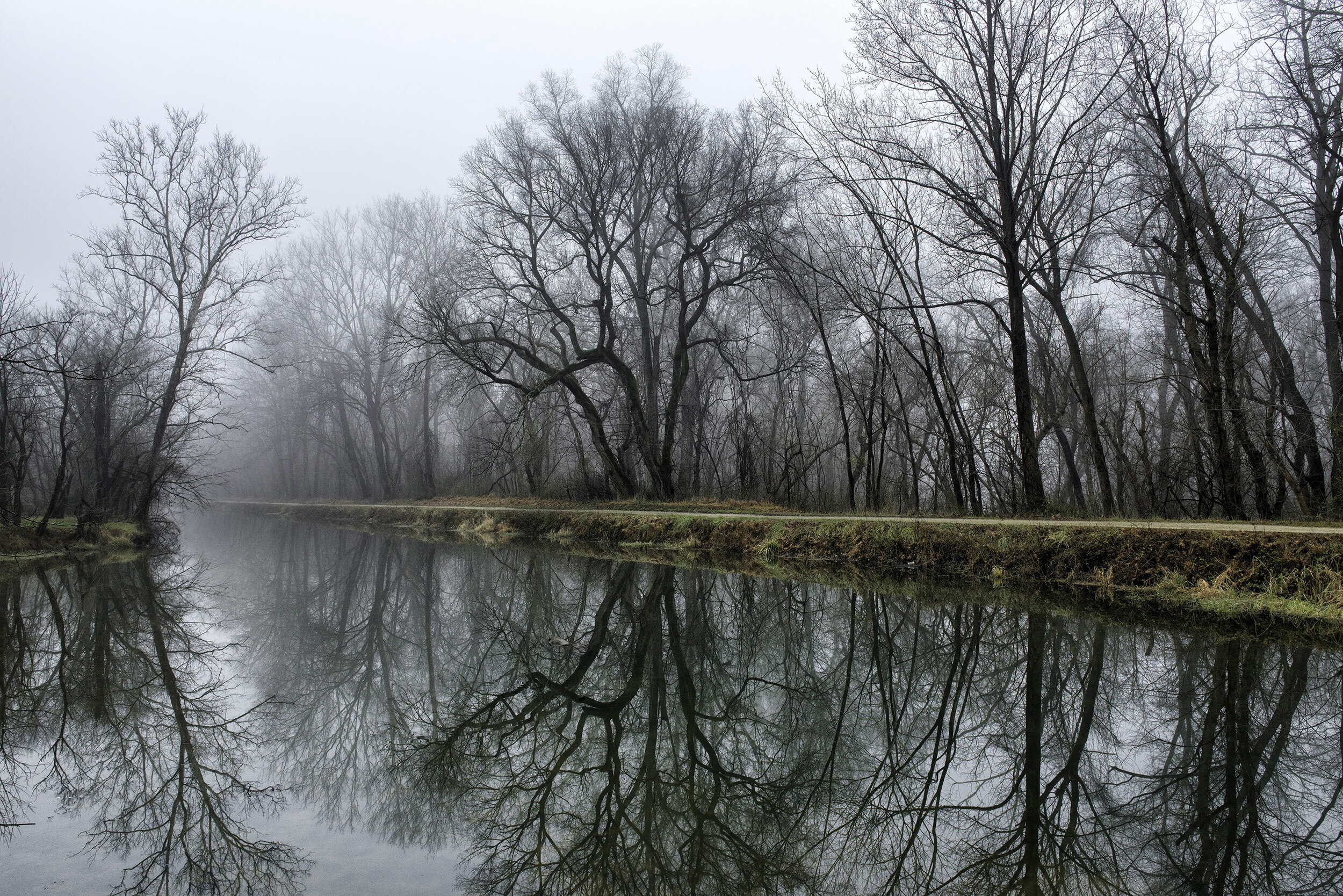 January Morning at Pennyfield Lock, C&O Canal 50th Anniversary Exhibit (Awarded First Place)