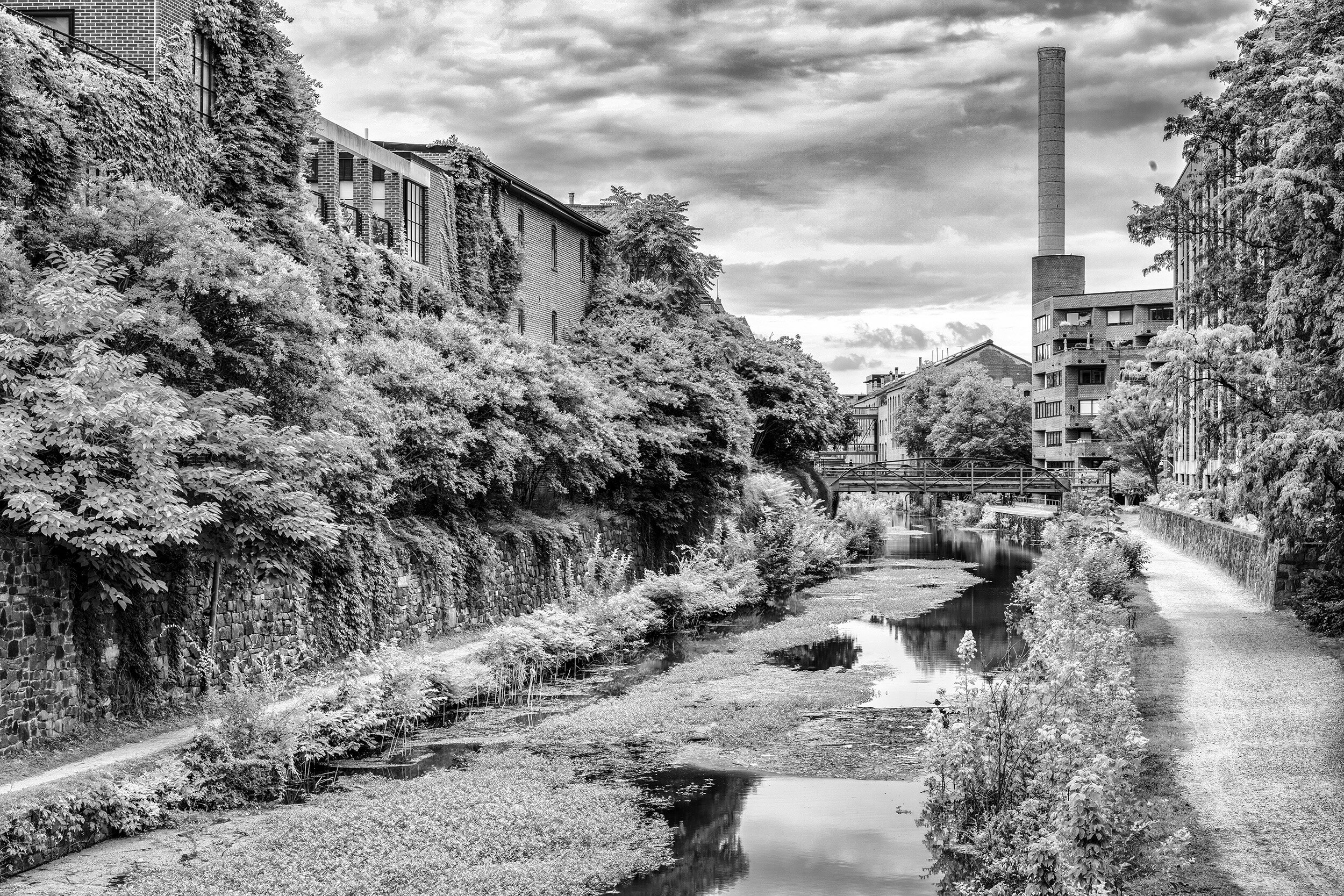 August Afternoon in Georgetown 