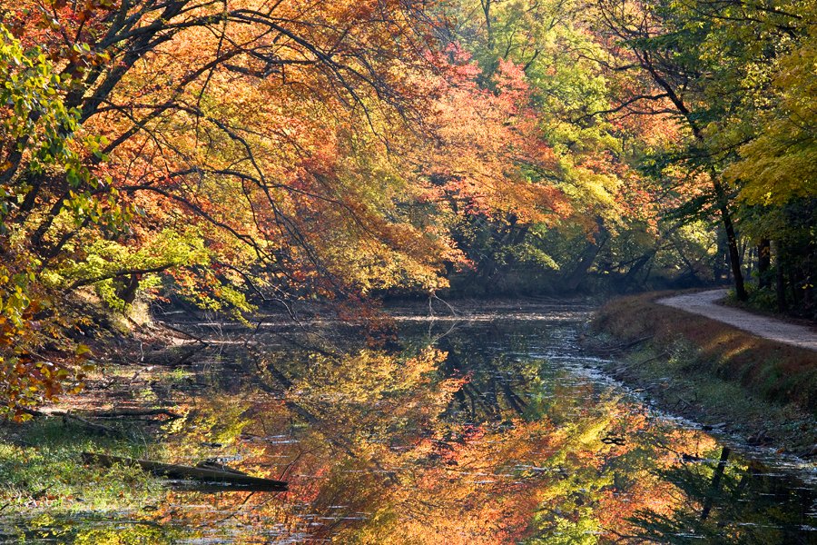 081031-Potomac-River-Foliage-032-PS-PN.jpg