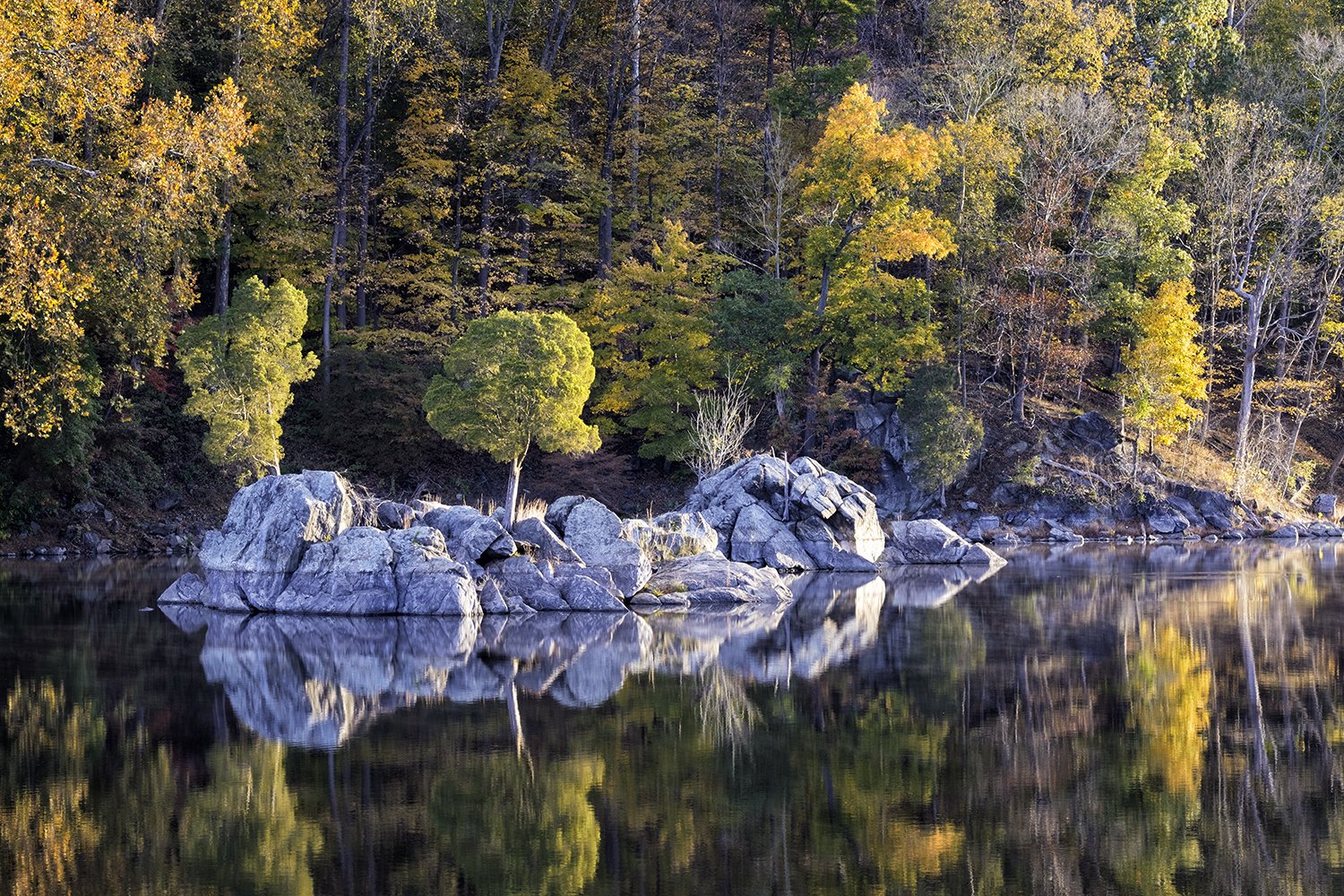 171031 Canal Foliage 51-1.jpg