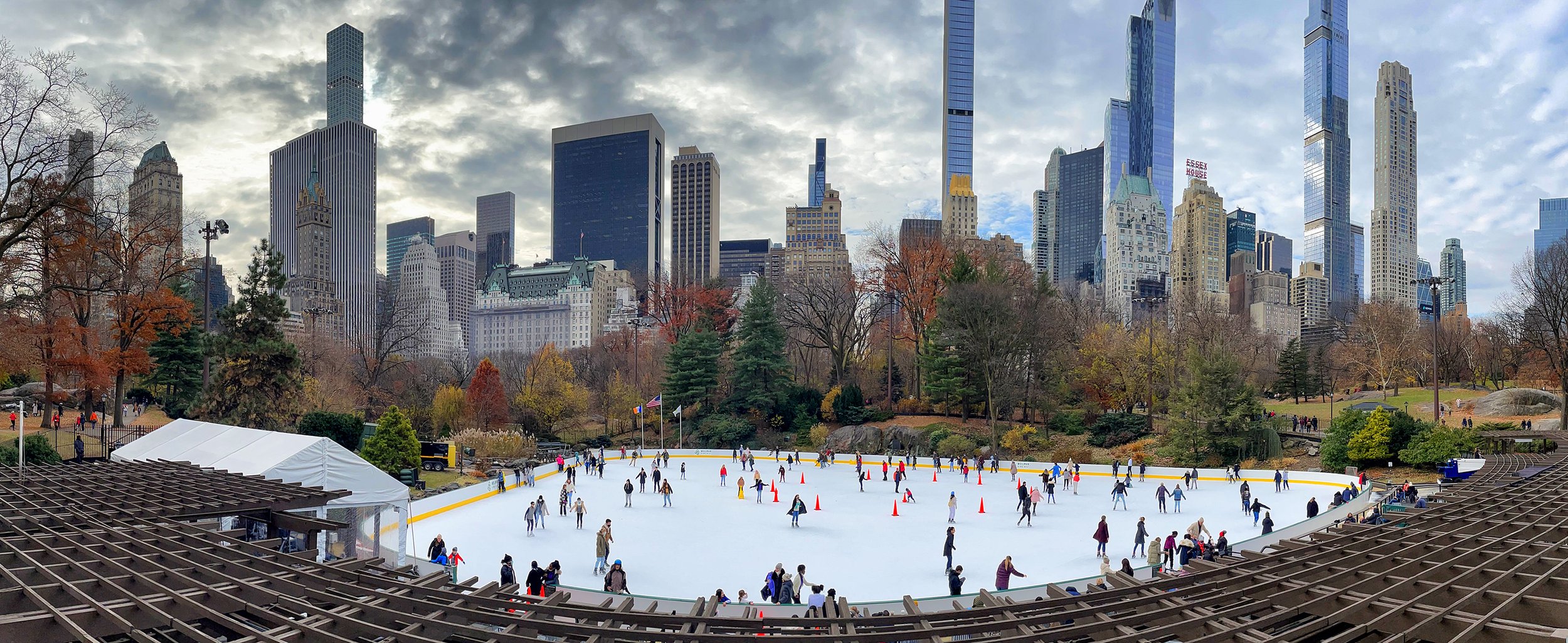 December Afternoon in Central Park 