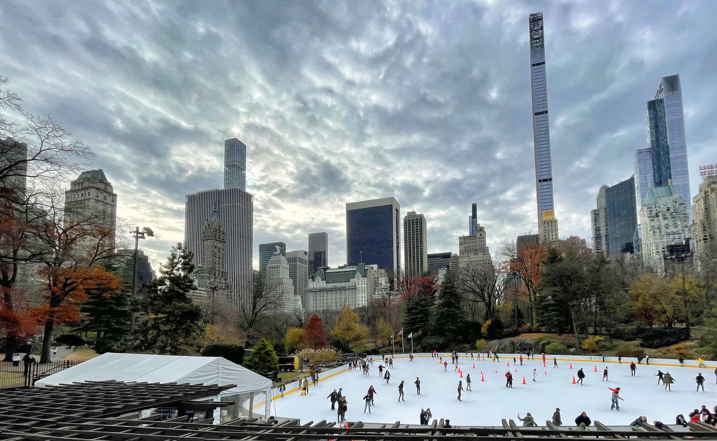 December Afternoon in Central Park 