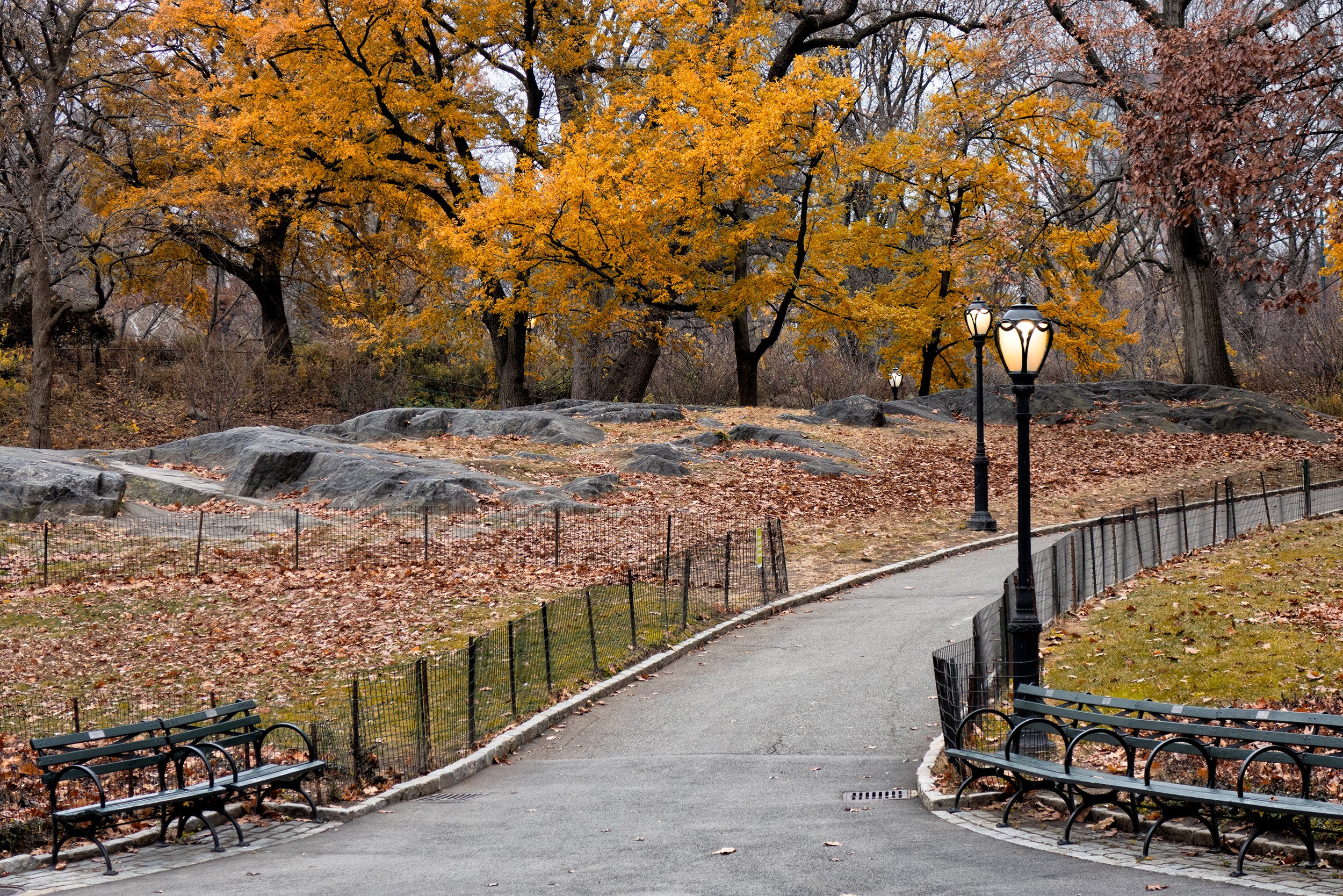 December Afternoon in Central Park 