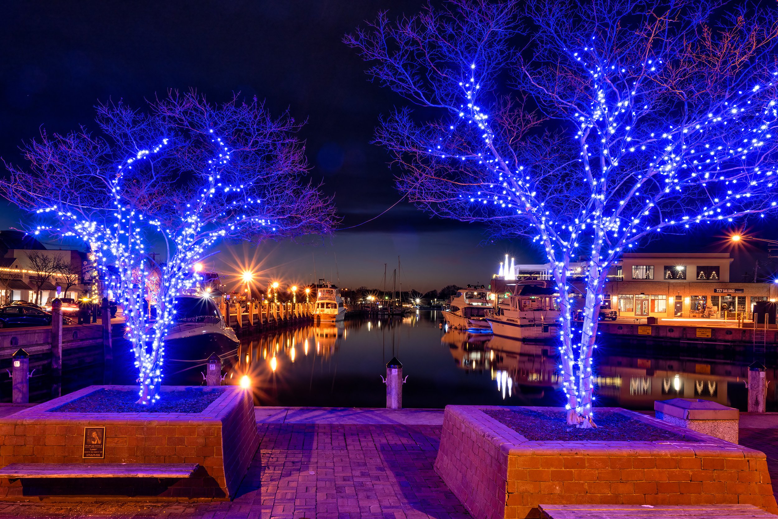 December Morning in Annapolis 