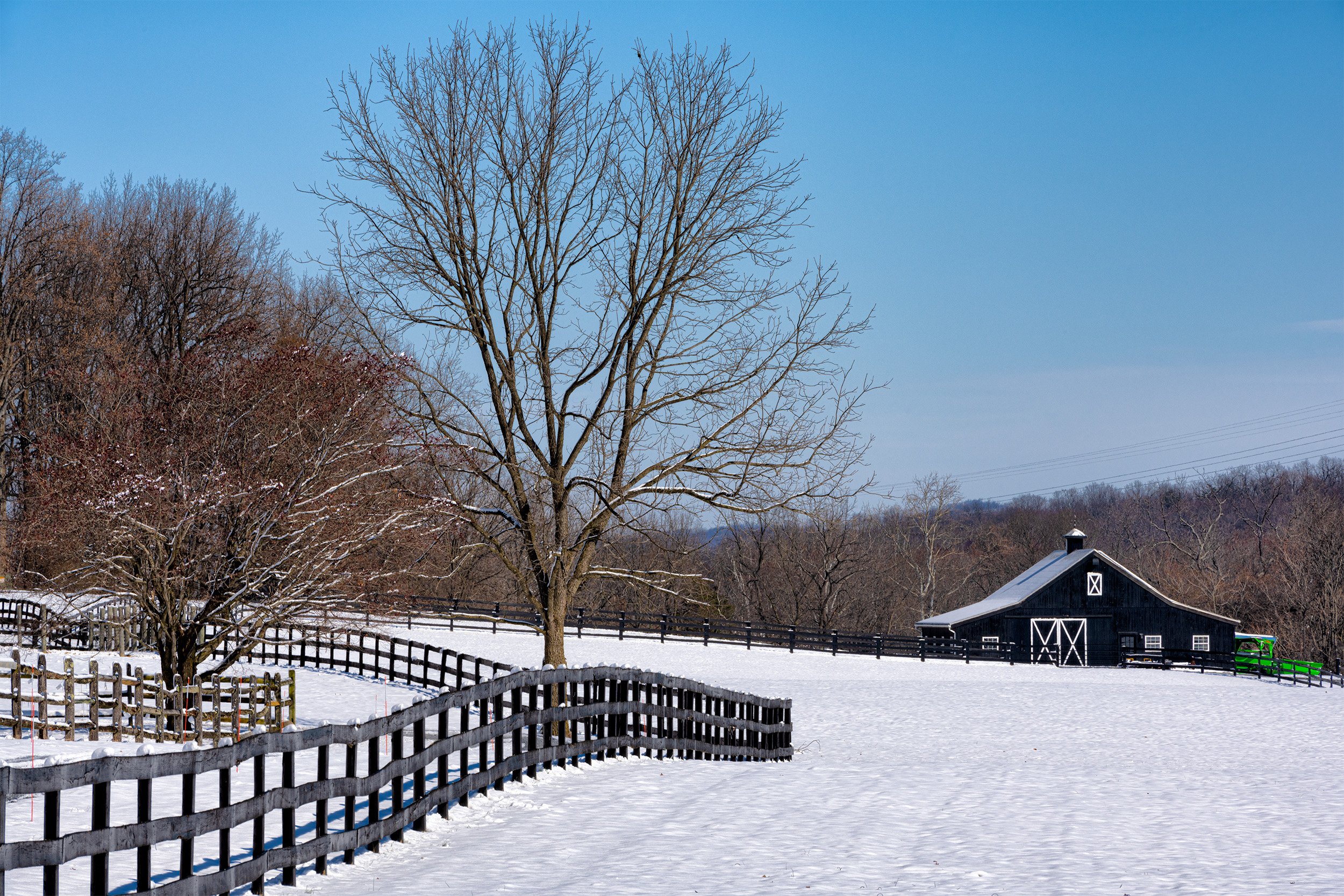 220313  MoCo Snow  15-1.jpg