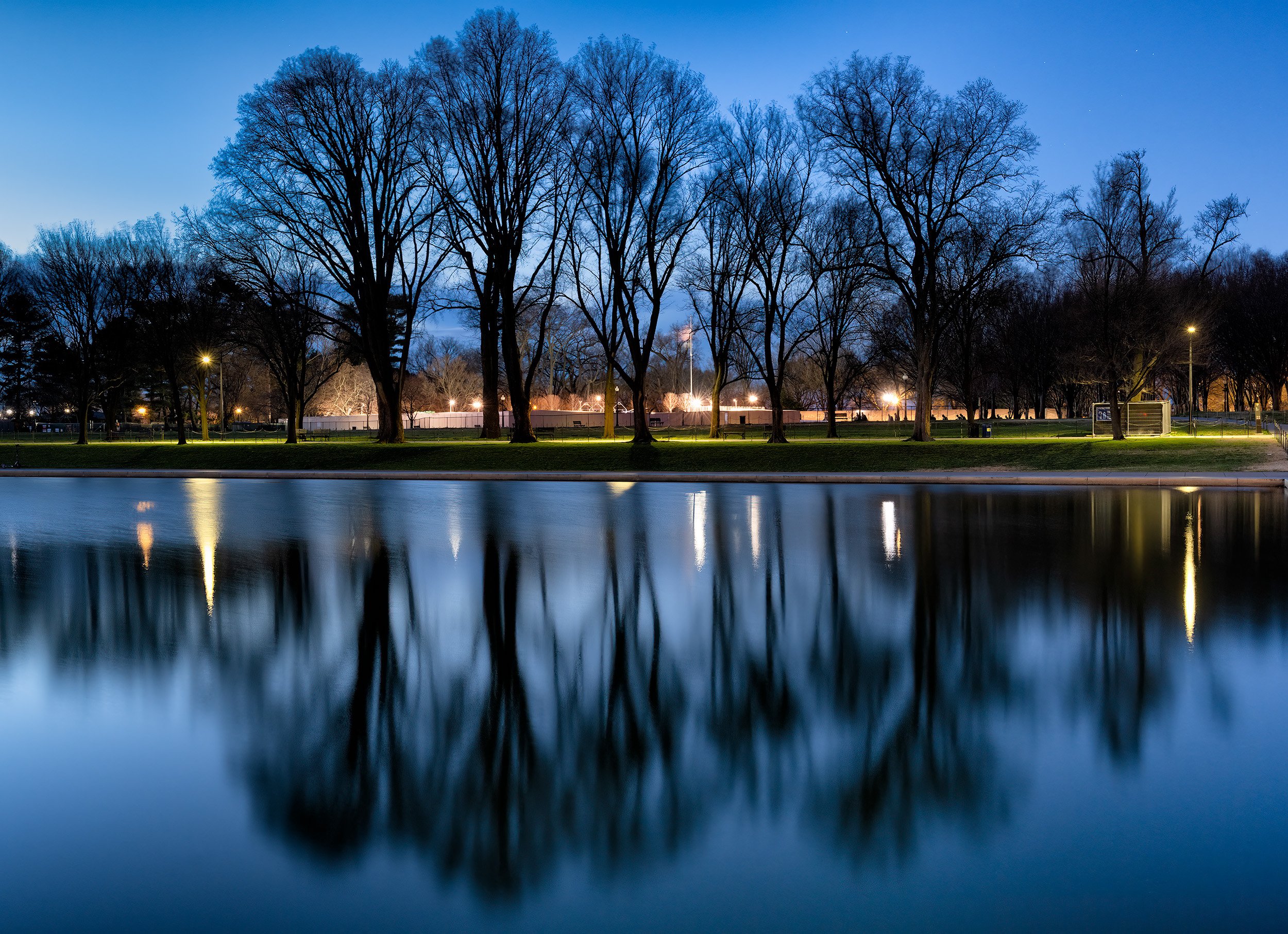 March Morning on the Mall 