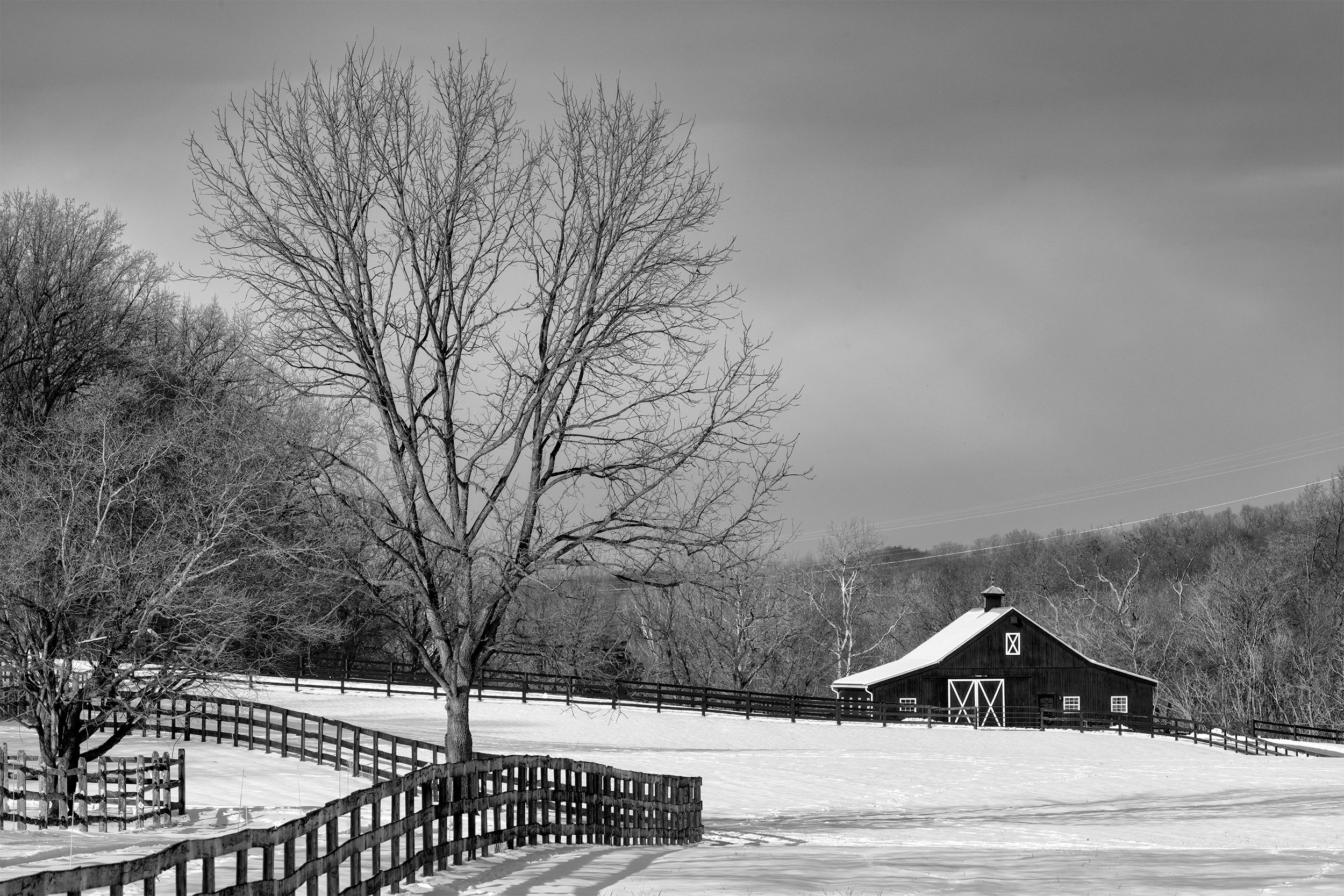 240122  MoCo Snow Z7  10-1 bw.jpg