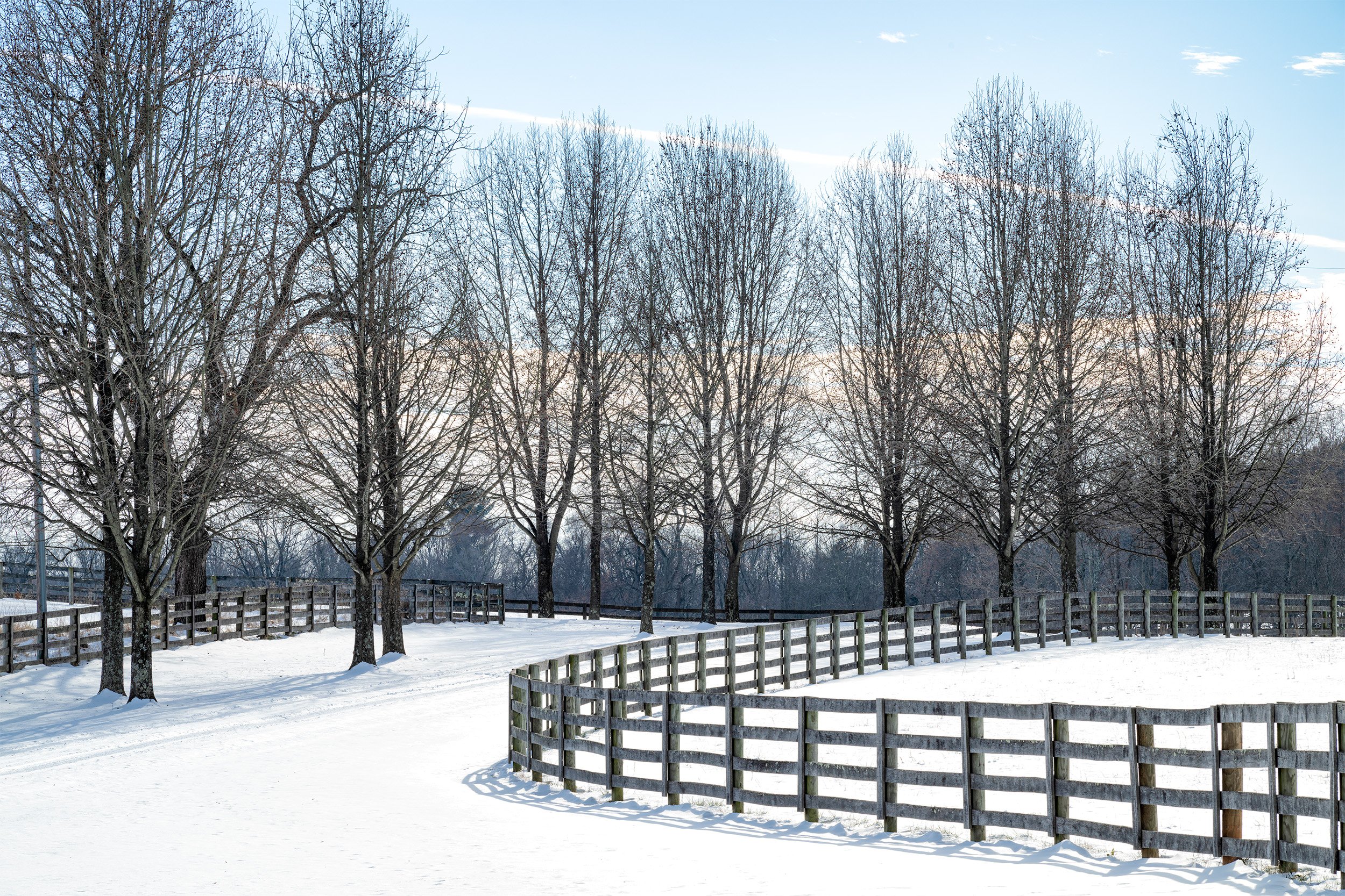 240122  MoCo Snow  06-1.jpg