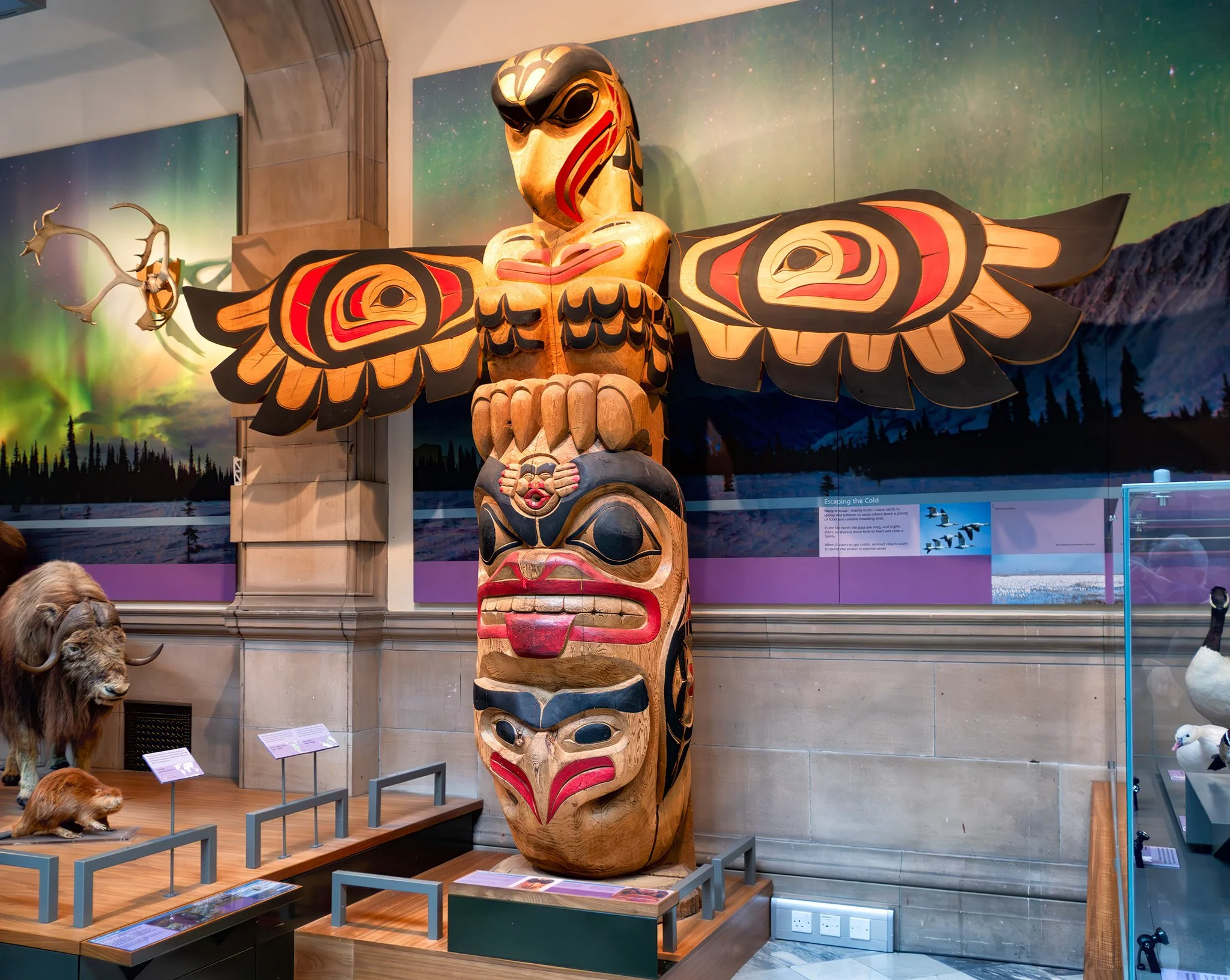 Kelvingrove Museum, Glasgow 