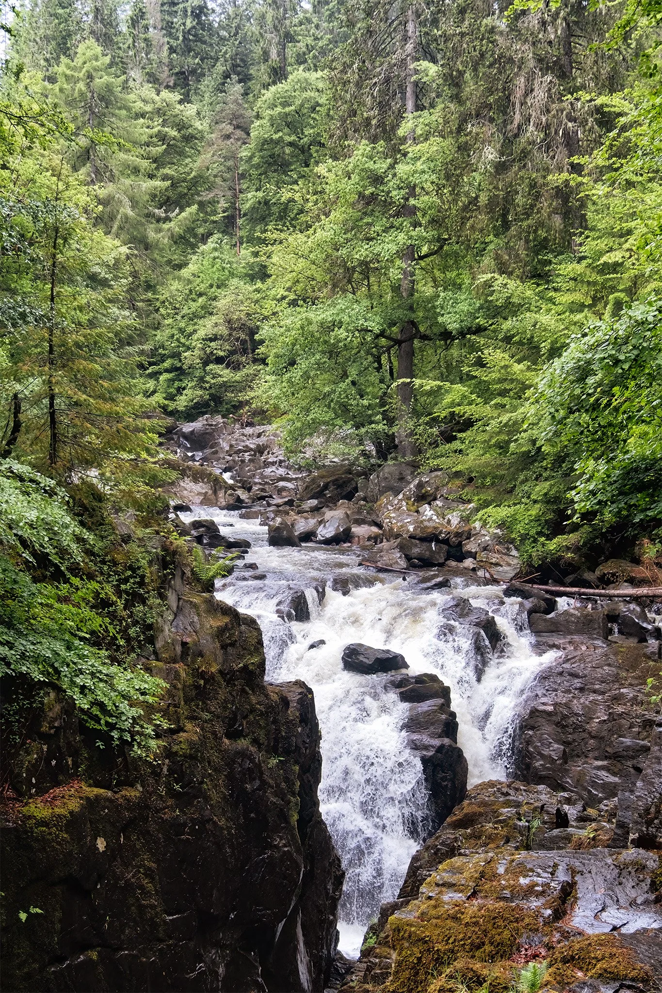 A Waterfall in the Hermitage
