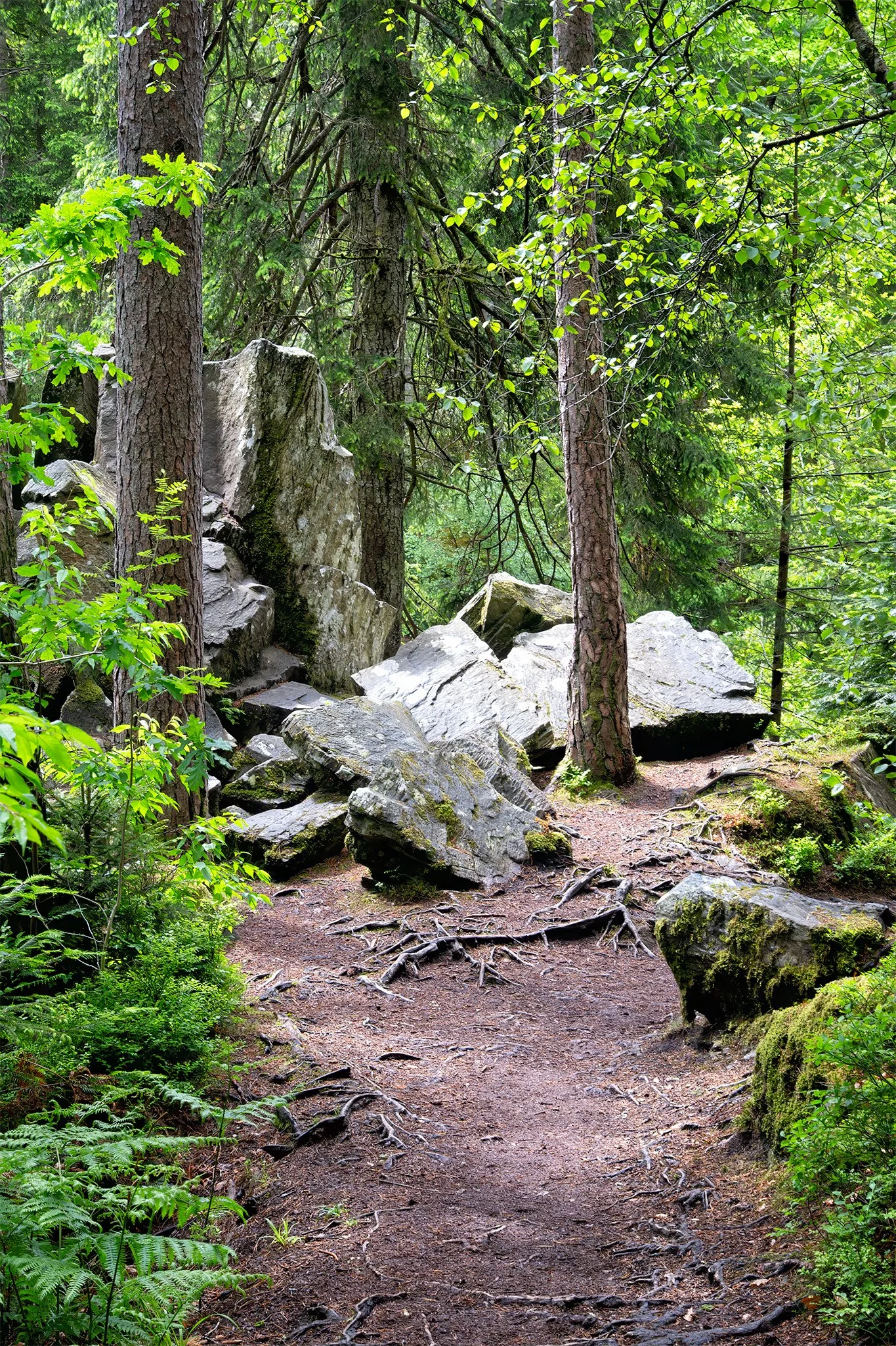 Hiking in the Hermitage 