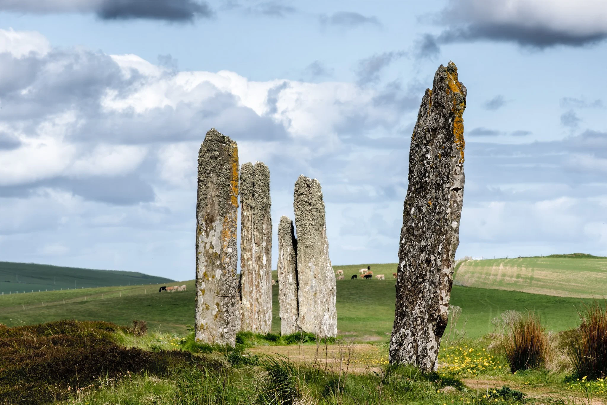 Ring of Brodgar