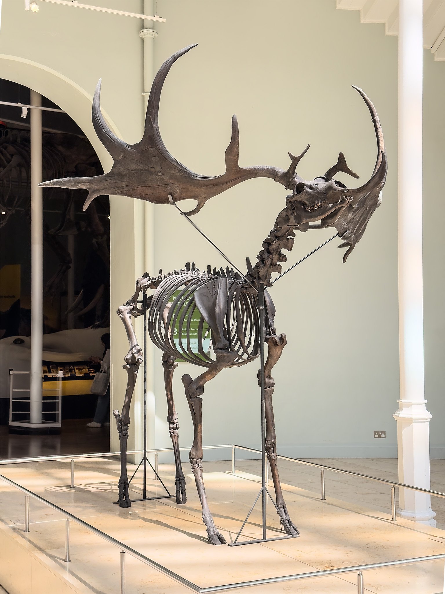 National Museum of Scotland, Edinburgh 