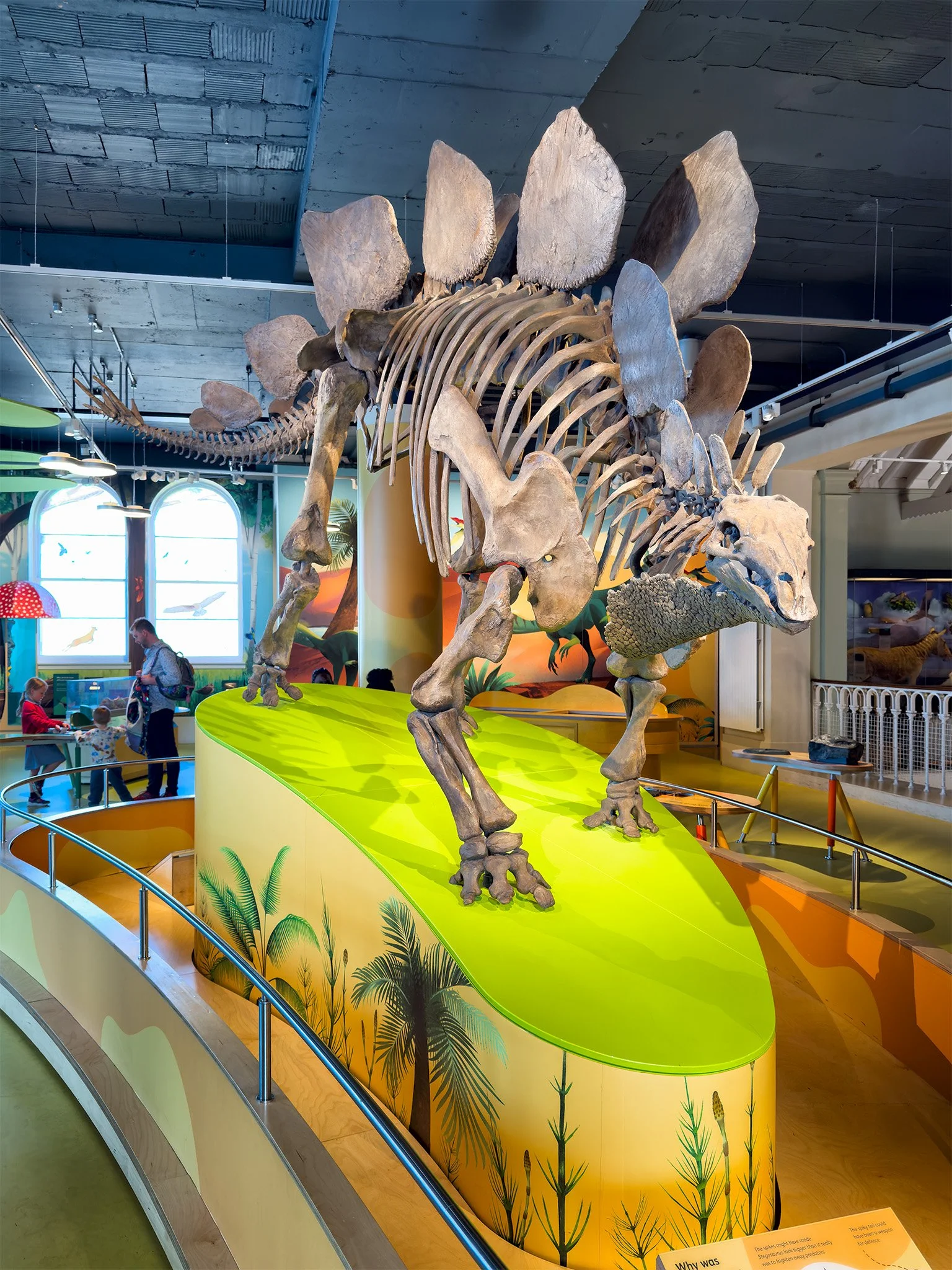 National Museum of Scotland, Edinburgh 