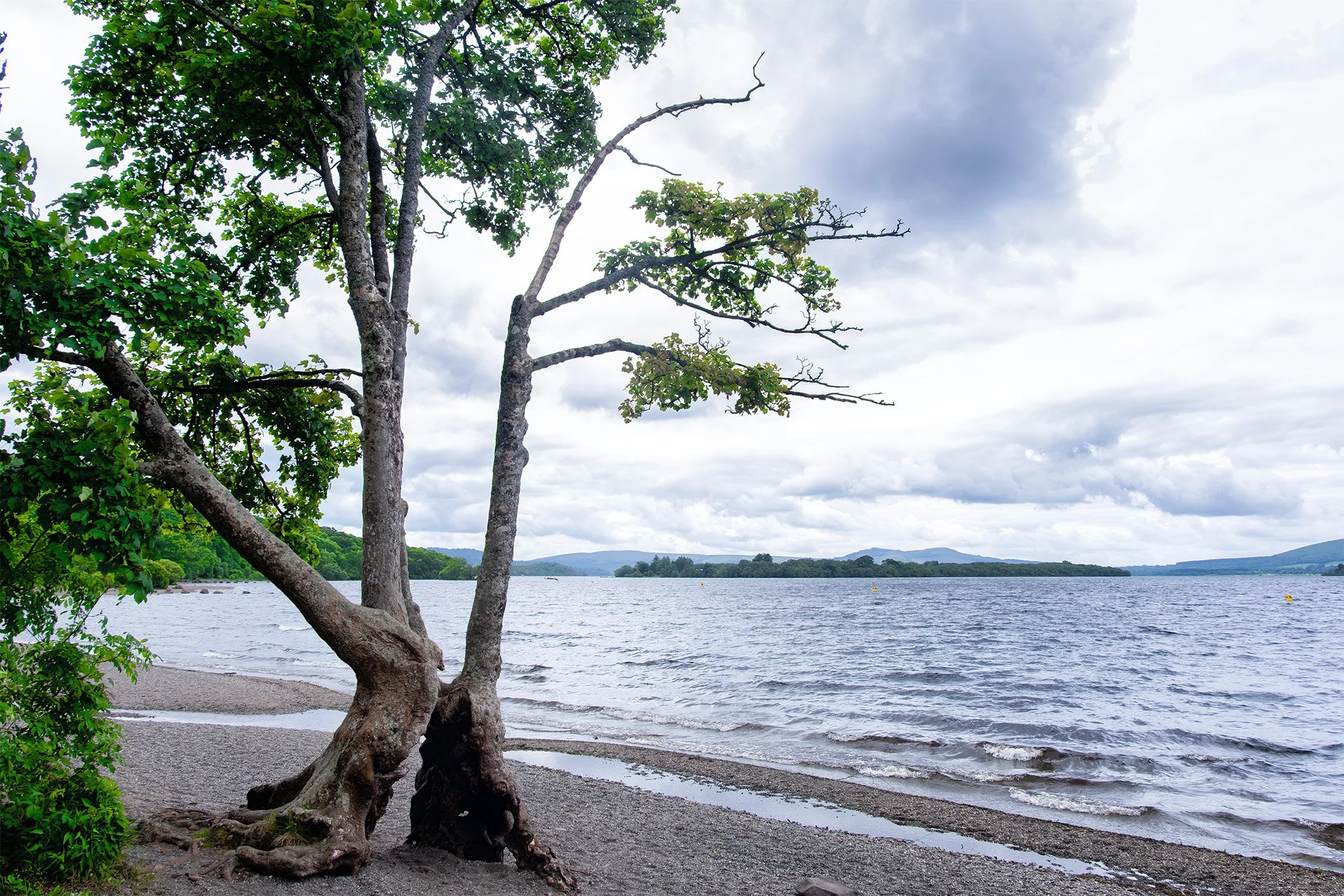 The West Highland Way along the shores of Loch Lomond