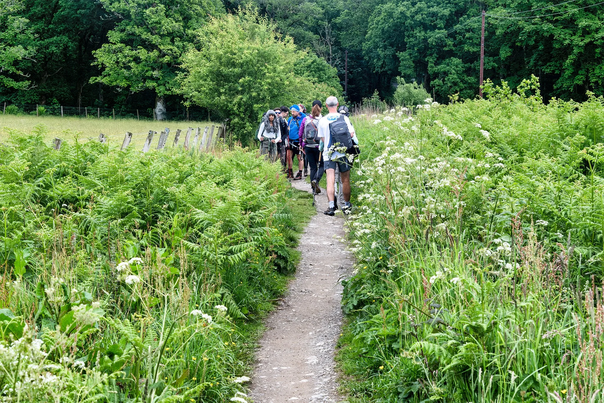 The West Highland Way 