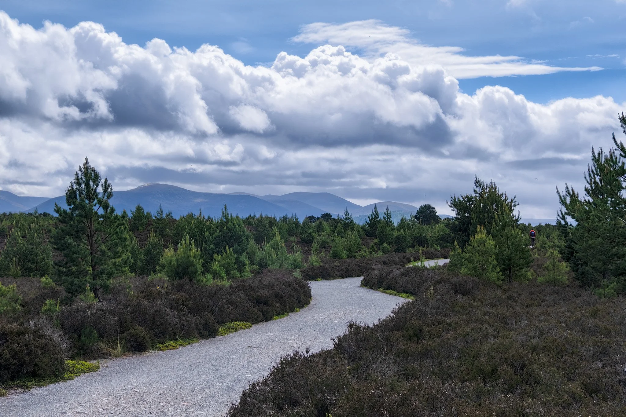 Hiking the Speyside Way Trail 