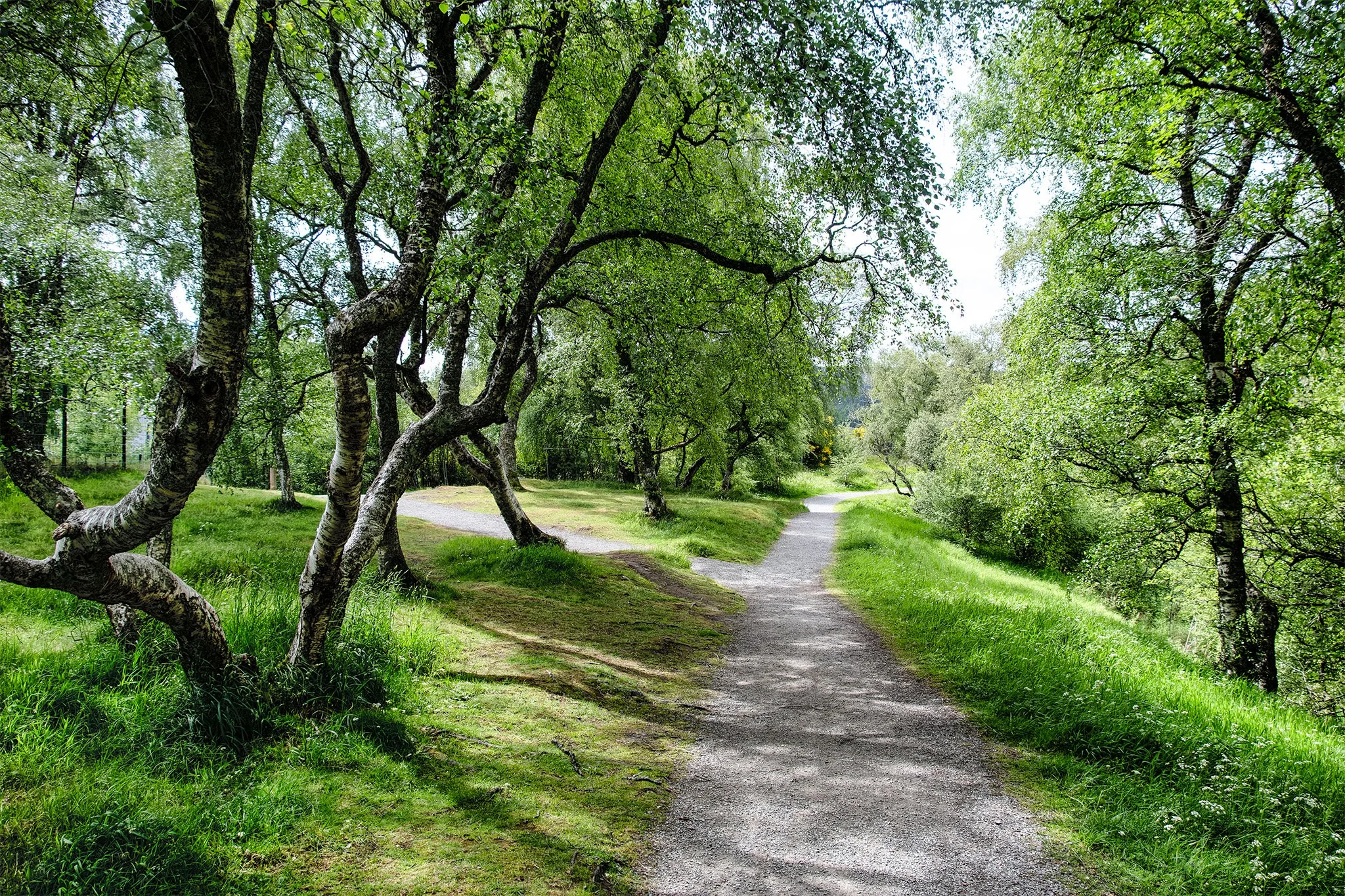 Hiking the Speyside Way Trail 